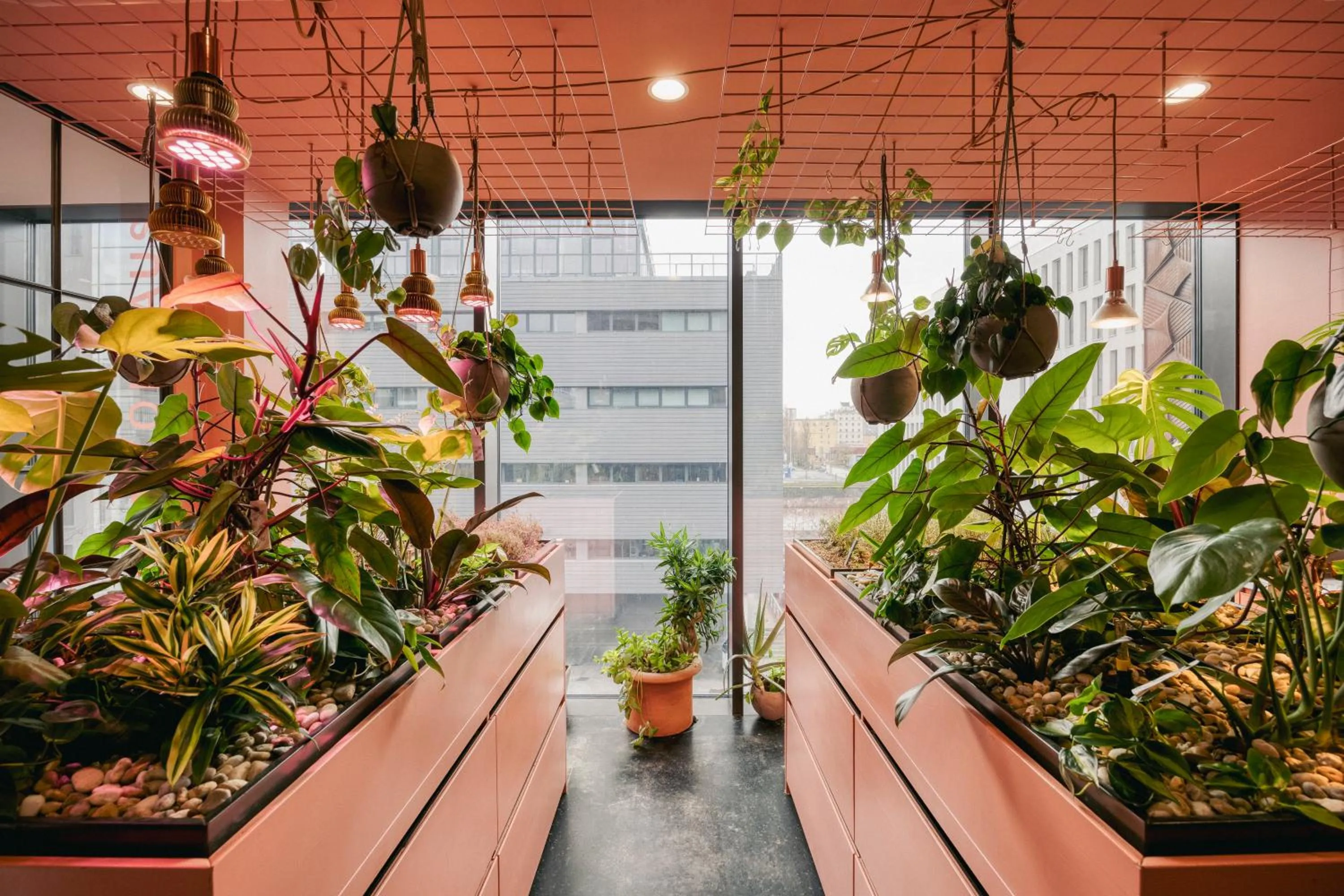 Garden in Lindley Lindenberg