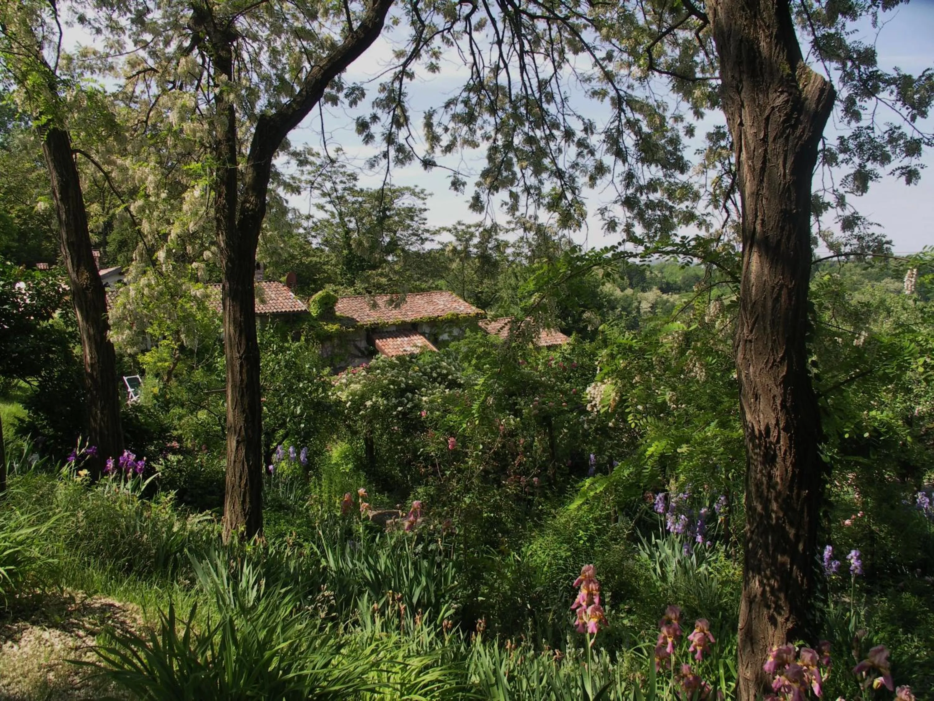 Garden in La Traversina
