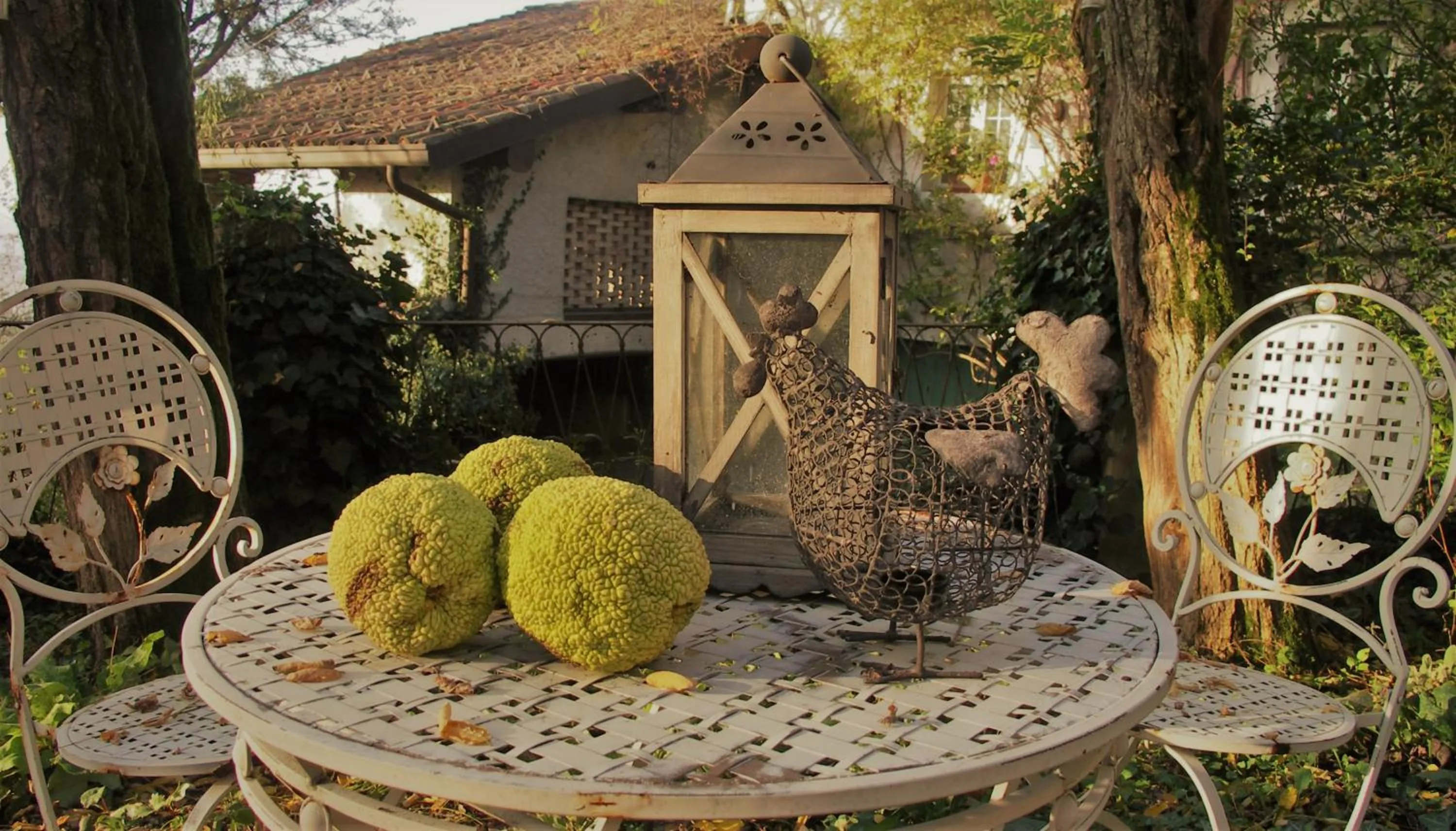 Garden in La Traversina