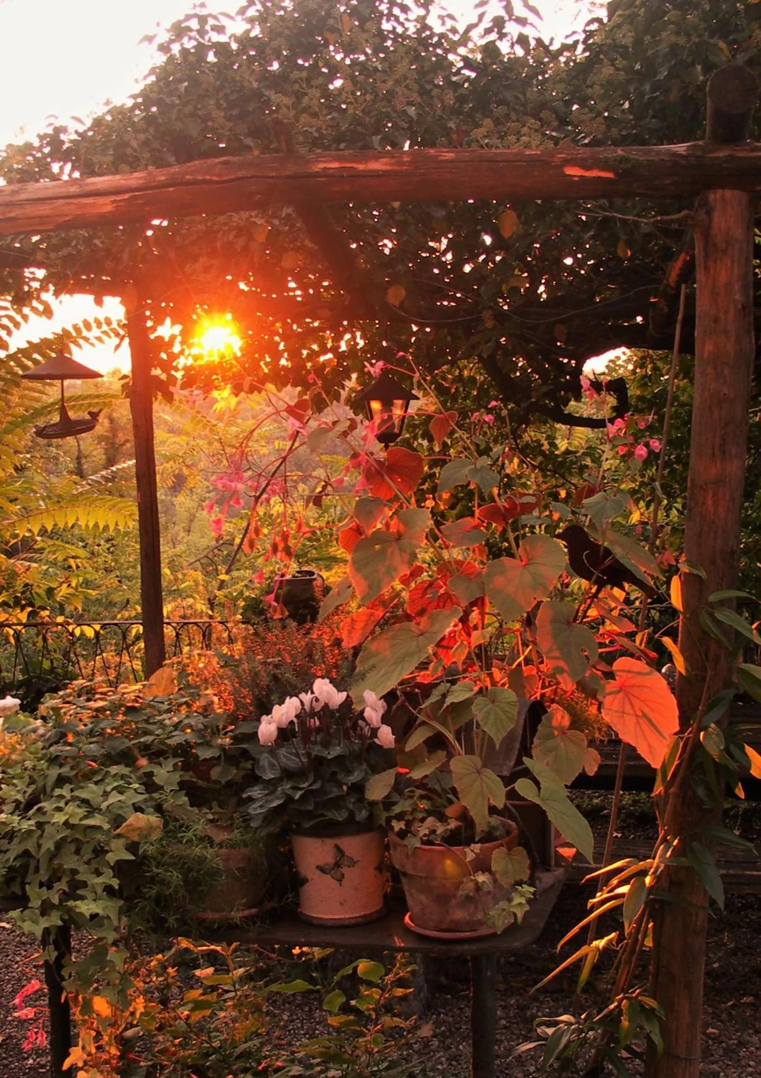 Summer in La Traversina