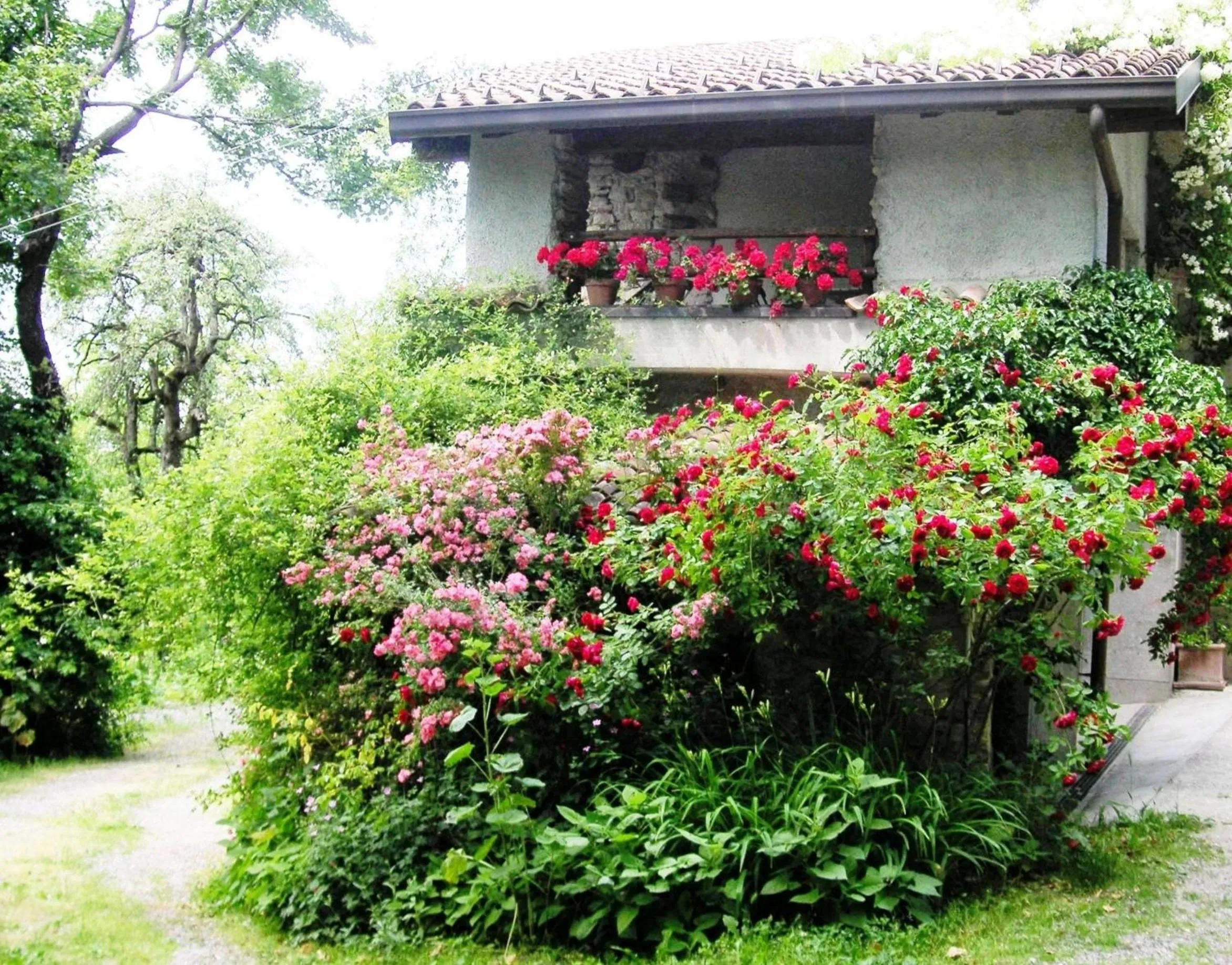 Property building in La Traversina