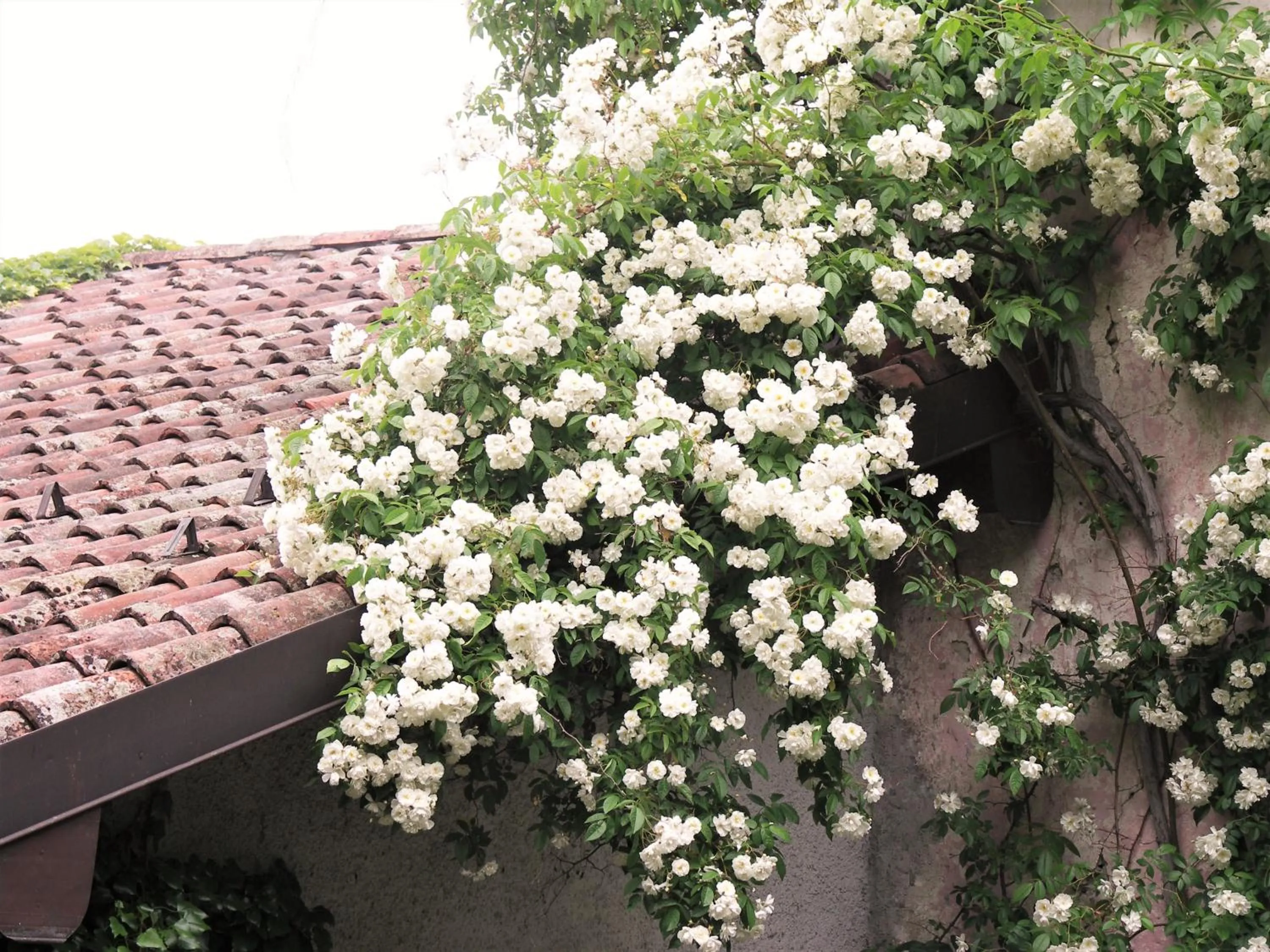 Property building in La Traversina