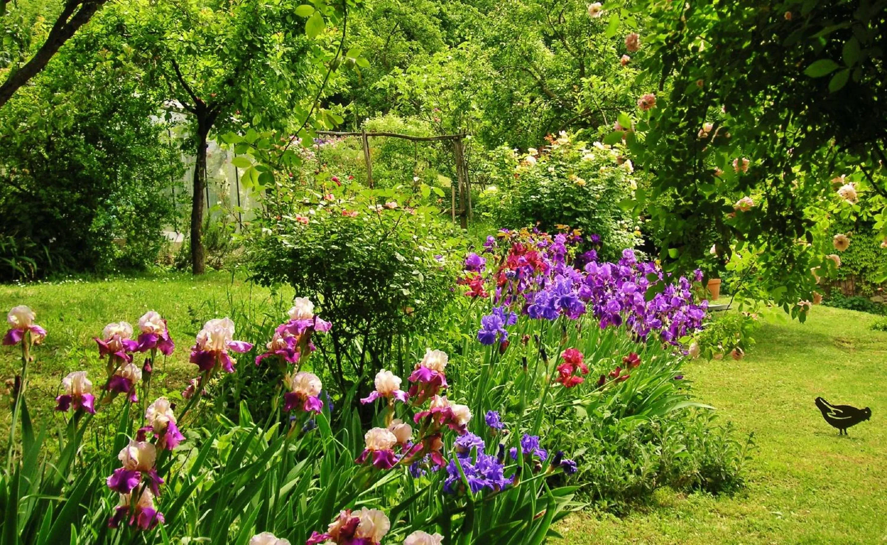 Spring in La Traversina