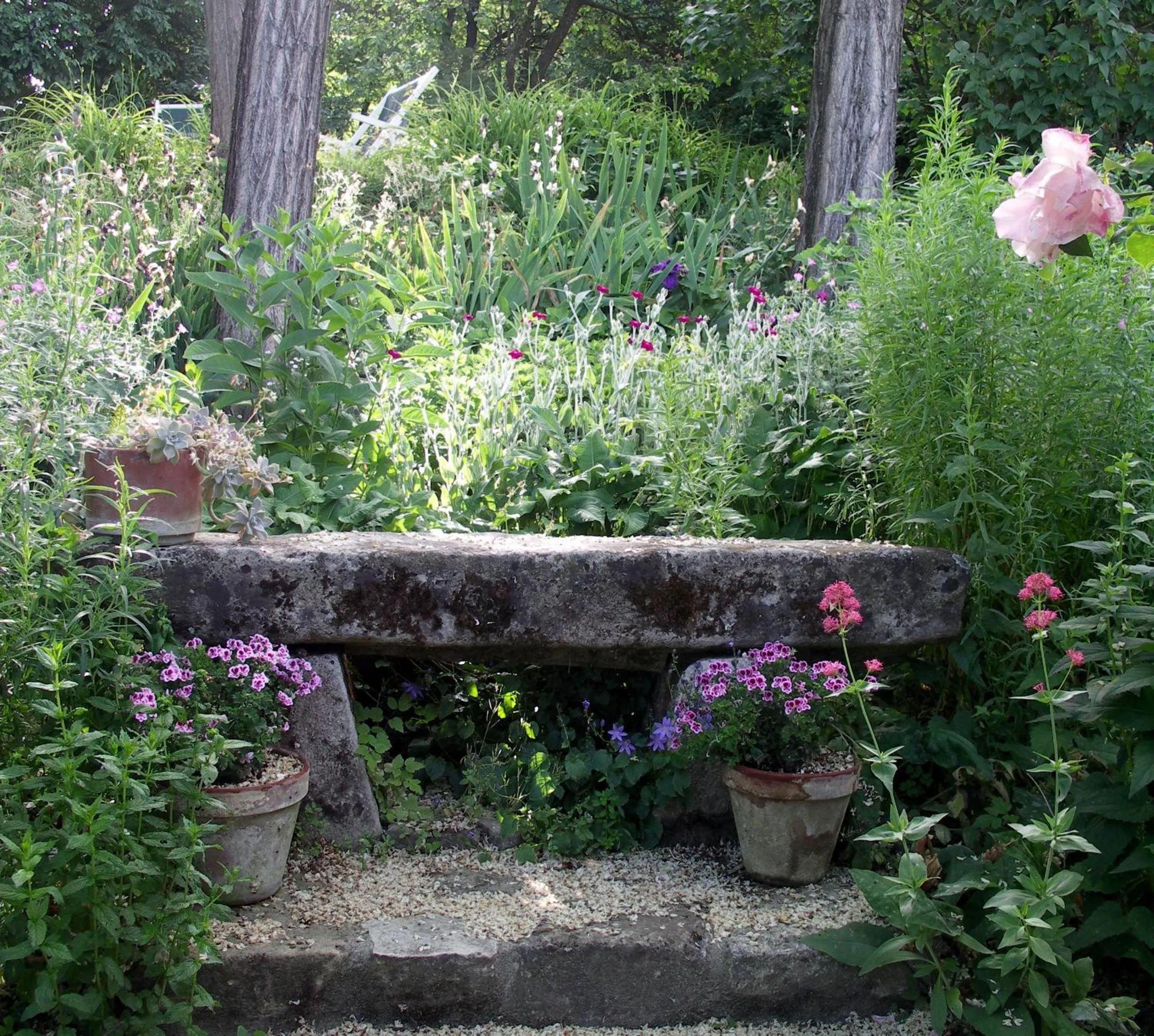 Garden in La Traversina