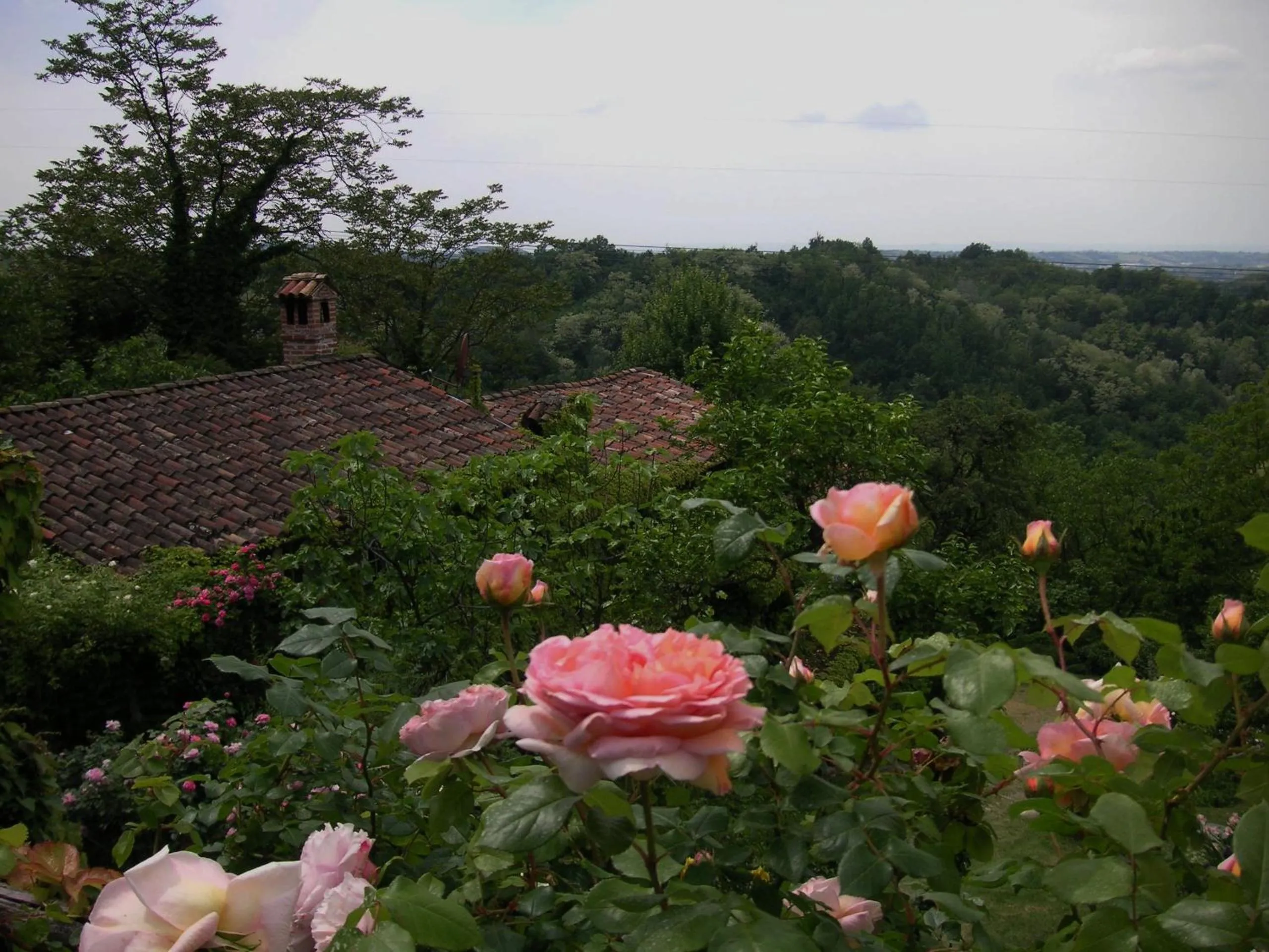 View (from property/room) in La Traversina