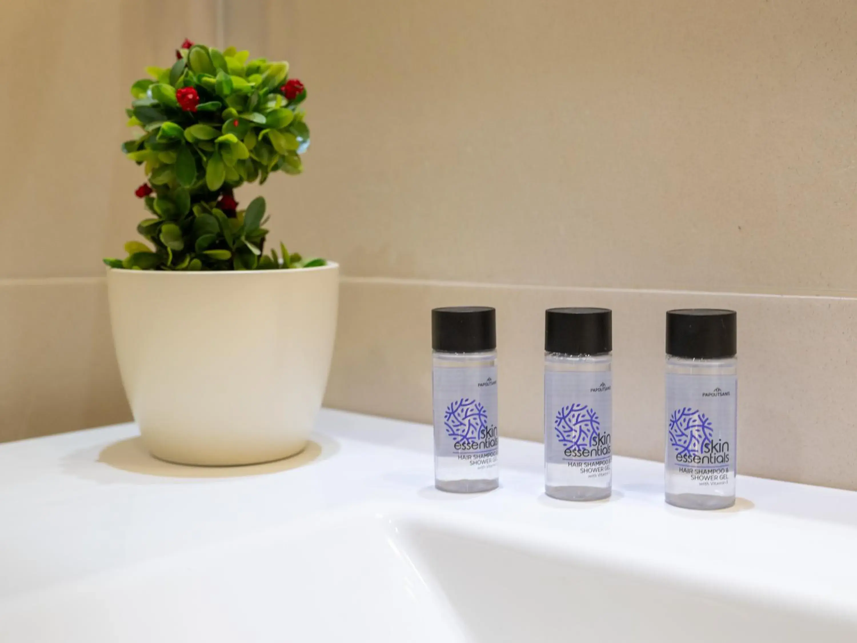 Triple Room in Athinaiko Hotel Triple Room in Athinaiko Hotel