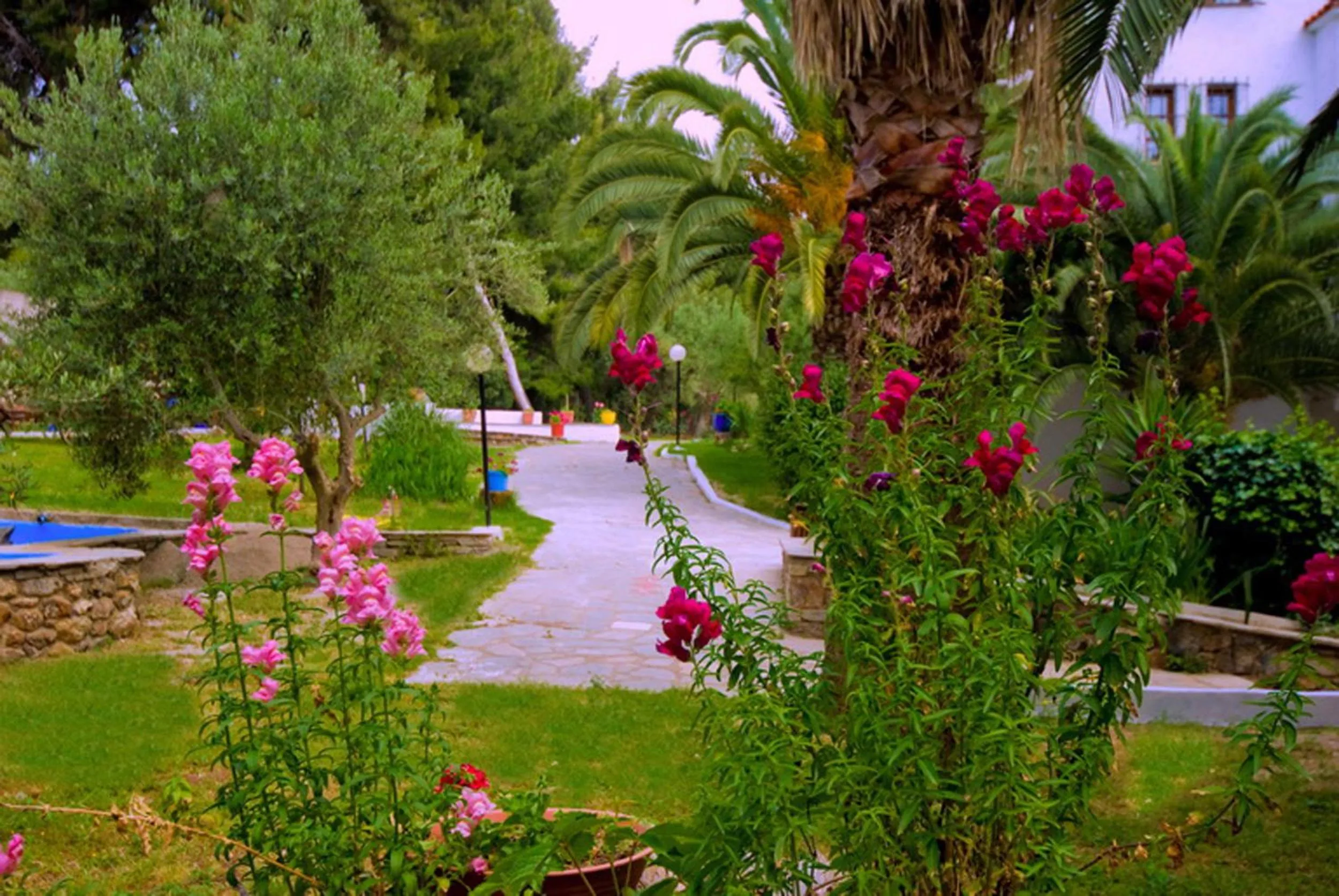 Garden in Porfi Beach Hotel