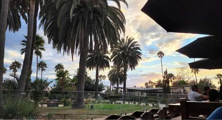 Restaurant/places to eat in Hotel Quintas Papagayo