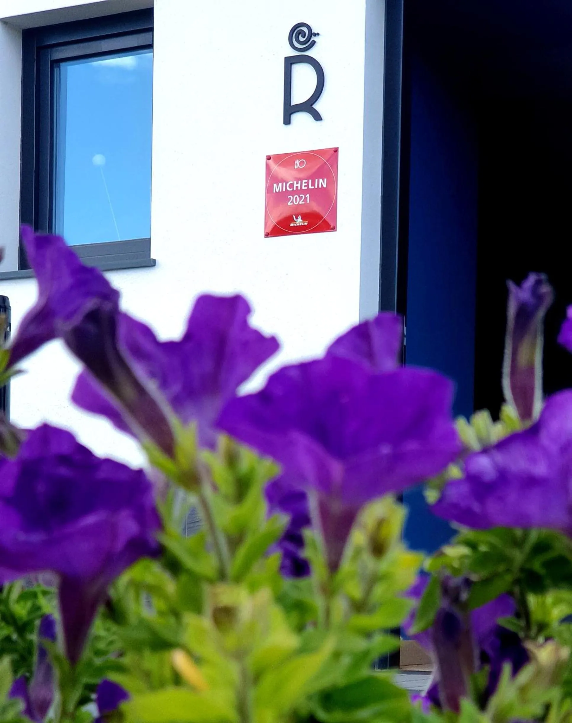 Restaurant/places to eat in HOTEL JAVIER MONTERO