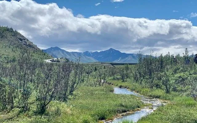 La Quinta by Wyndham Canton MS