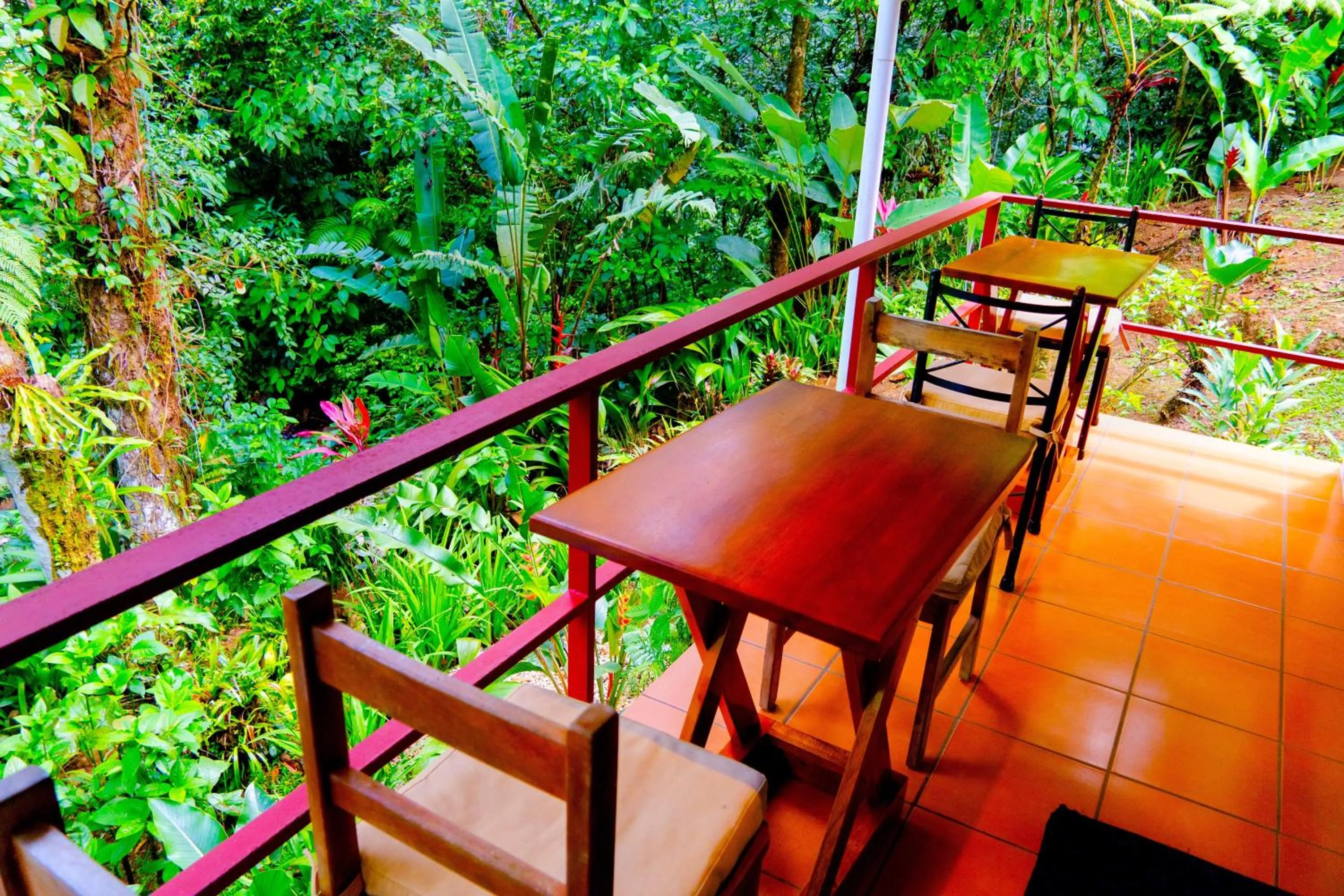 Balcony/Terrace in Agua Inn