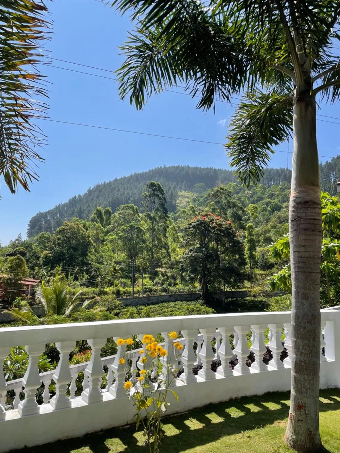 View (from property/room) in Bellwood Hills Resort & Spa