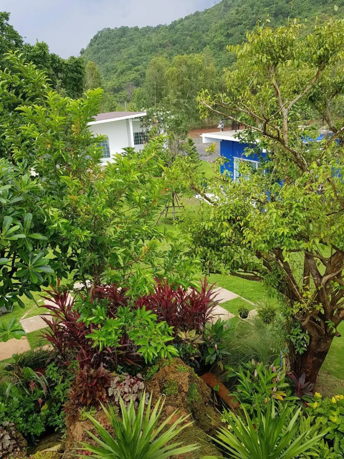The Forest for rest resort Khao Yai