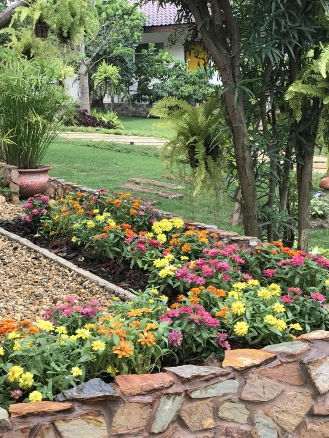 The Forest for rest resort Khao Yai