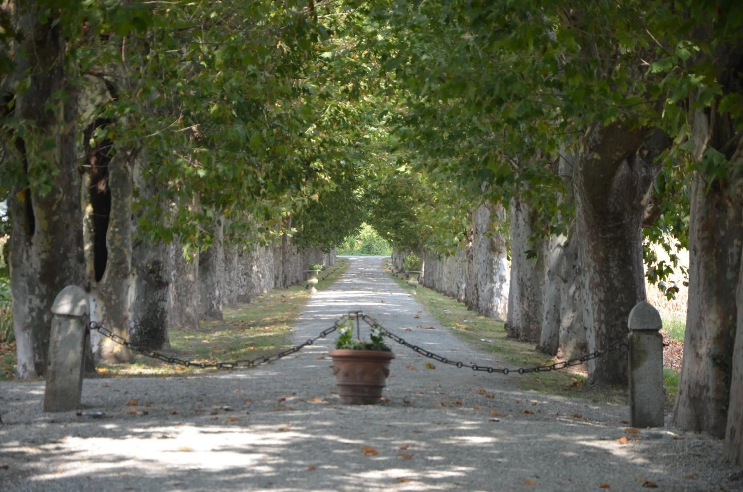 View (from property/room) in B&B IL CASTELLETTO