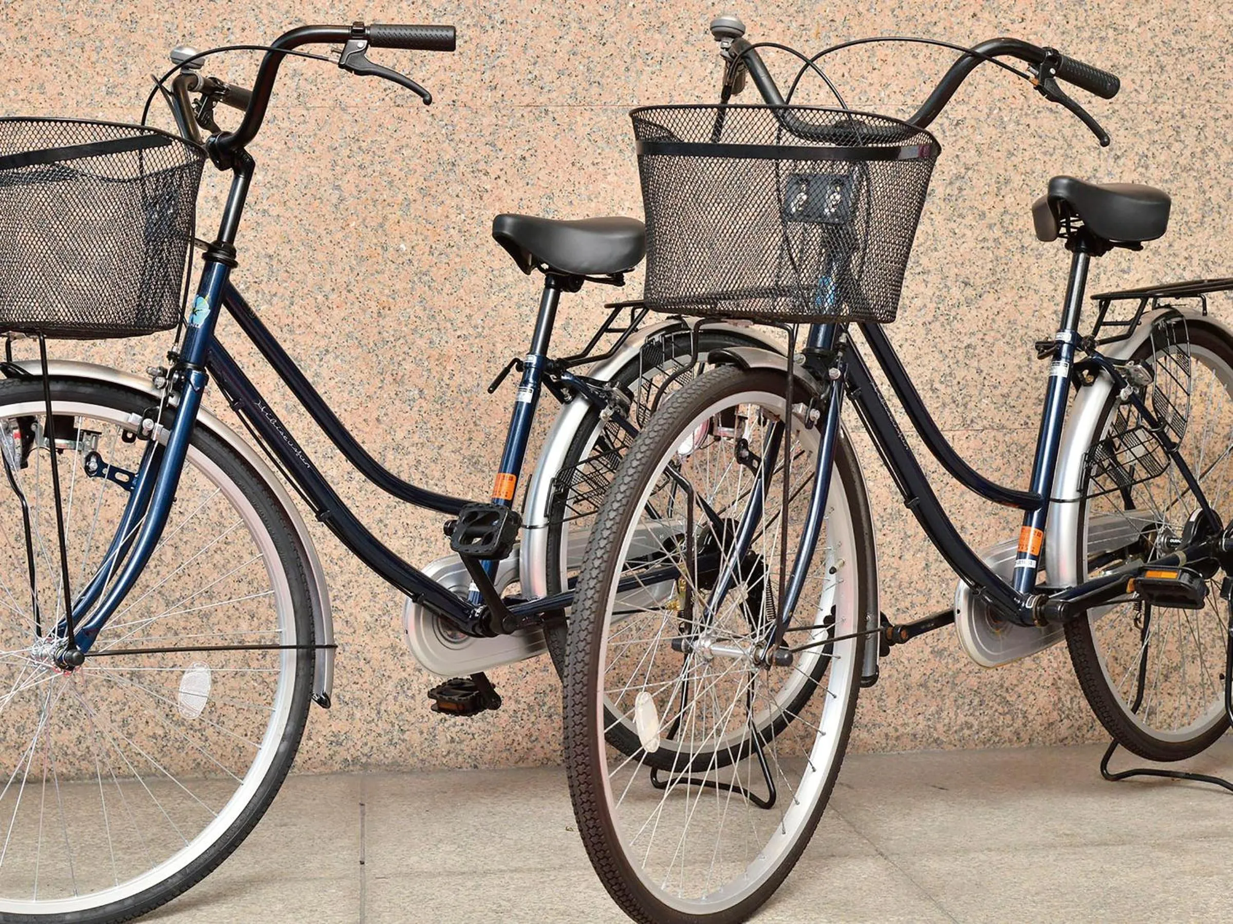 Cycling, Biking in Hotel Ocean