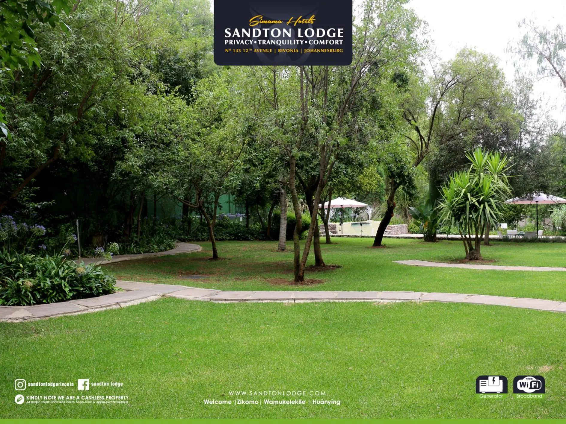 Garden in Sandton Lodge Rivonia