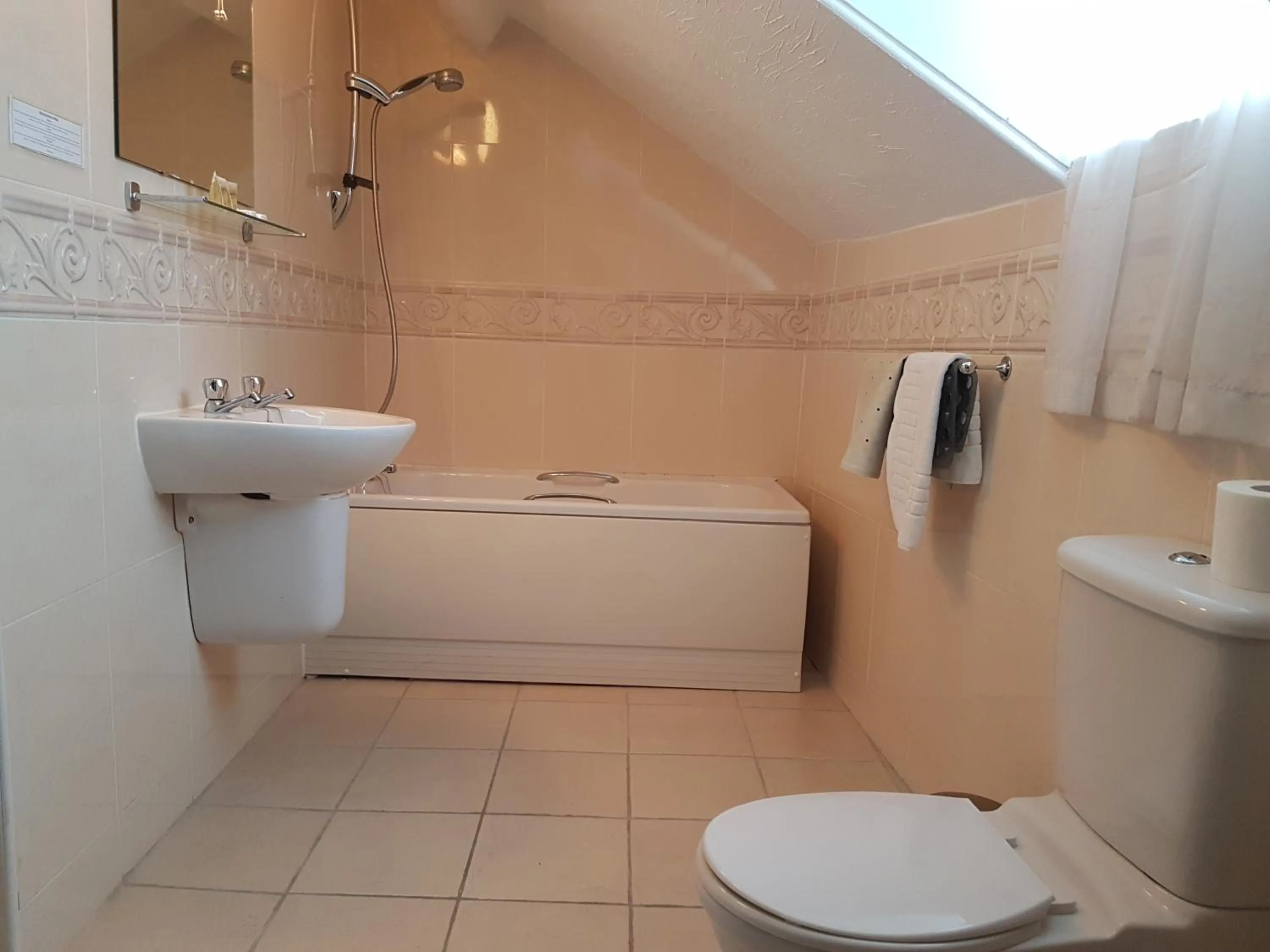 Toilet in Gwesty'r Marine Hotel & Spa