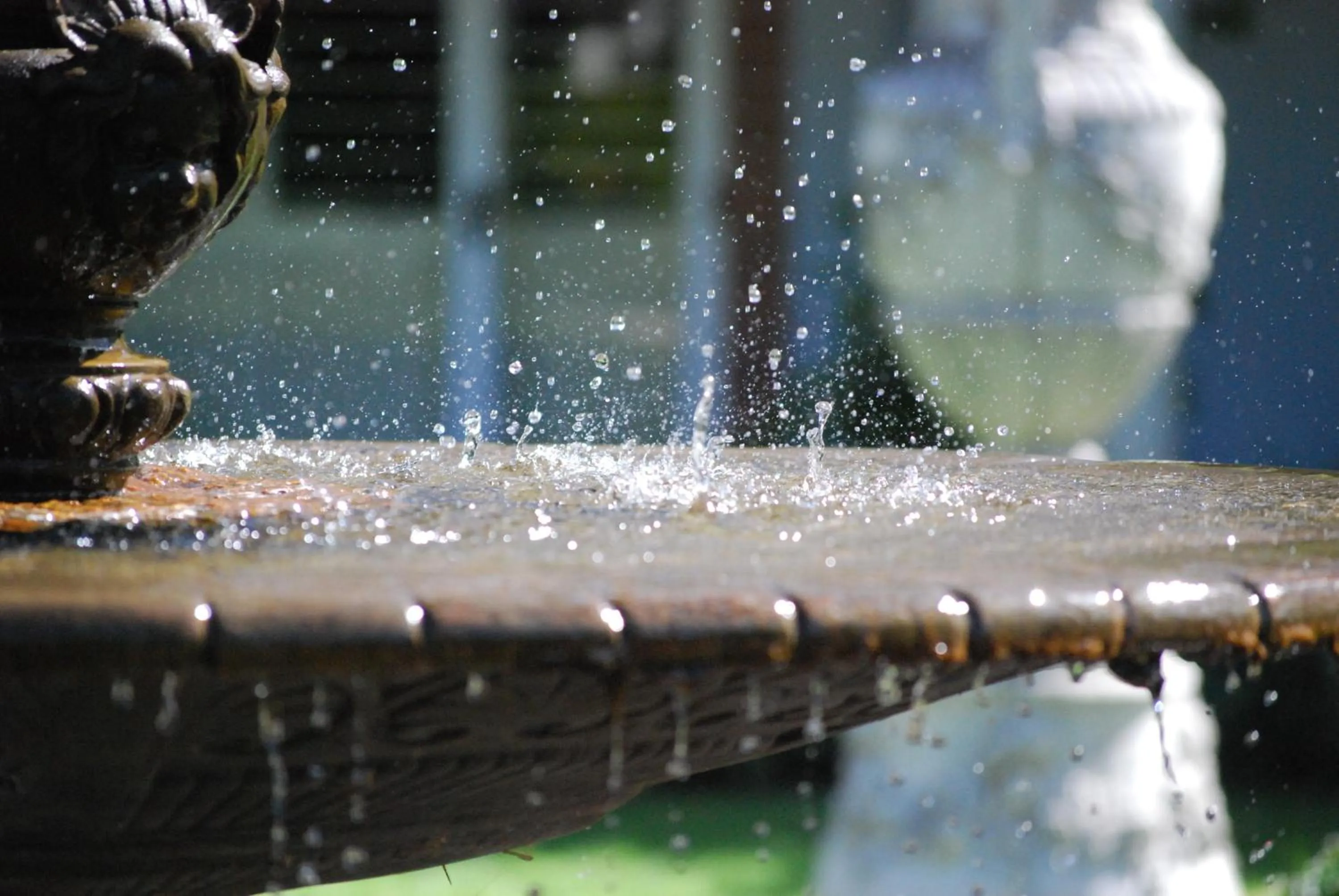 Day in Ardour Milton Park Bowral