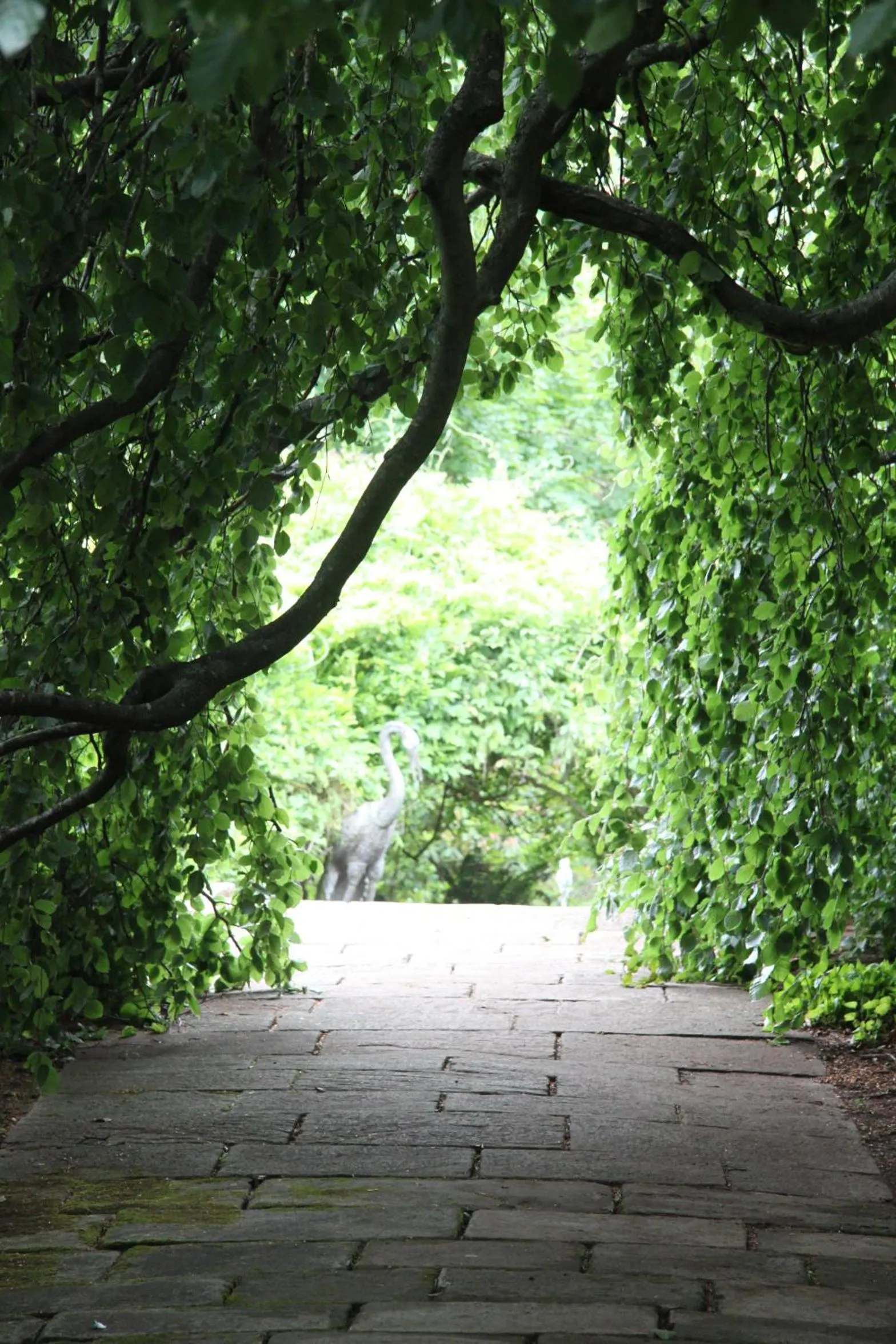 Day in Ardour Milton Park Bowral