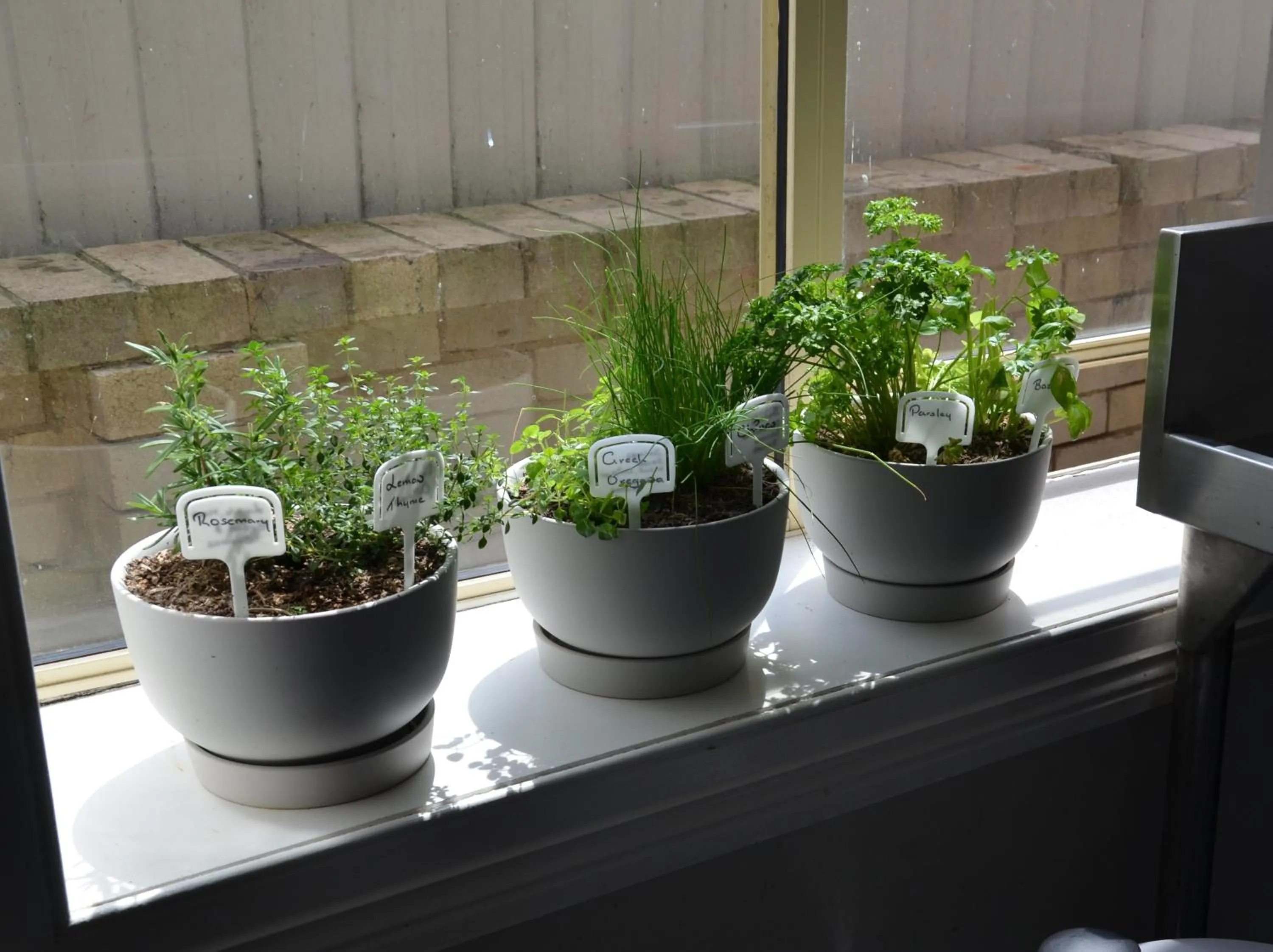 Decorative detail in Manly Beach Guesthouse