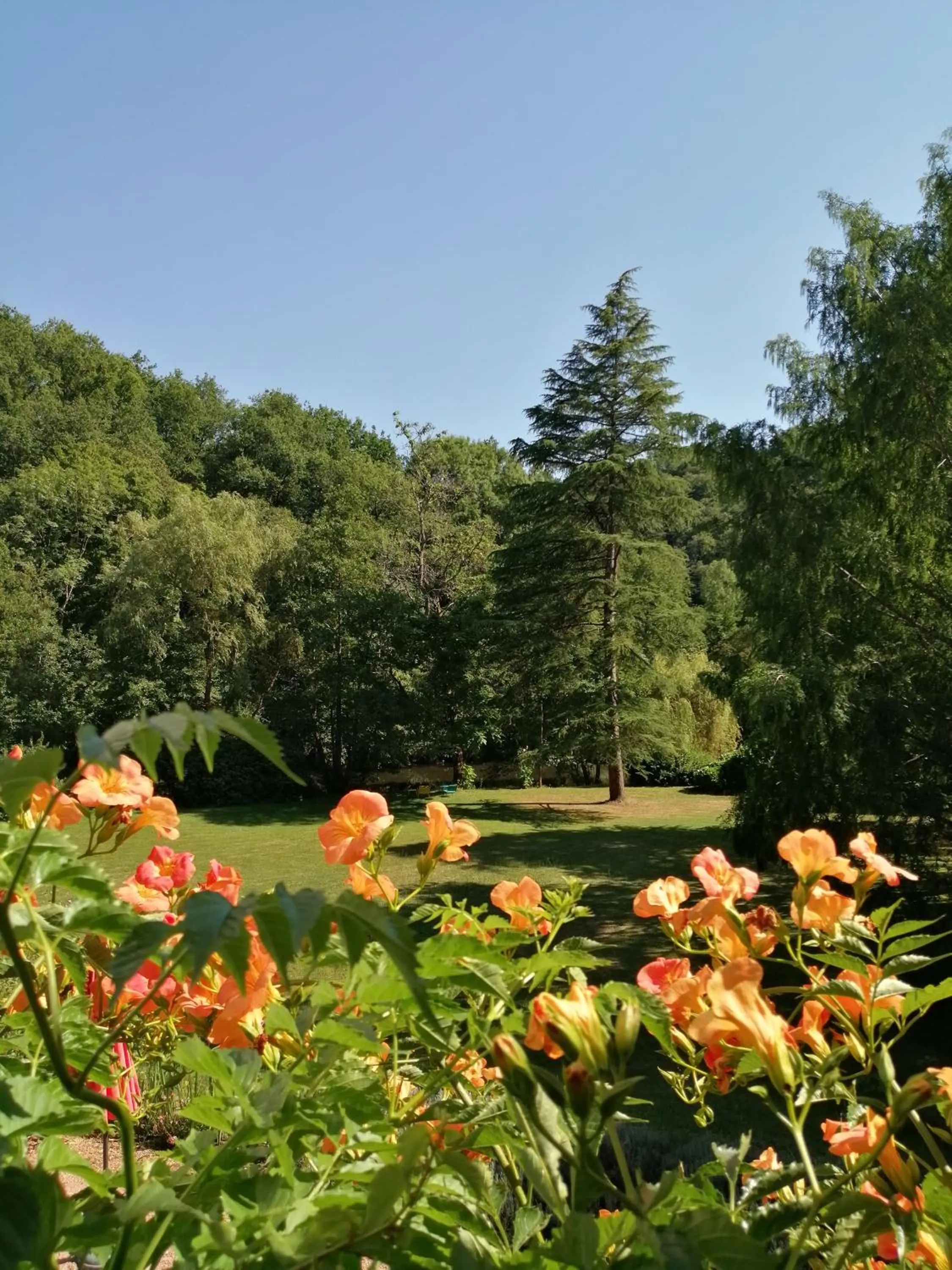 Natural landscape in Domaine de La Brugere