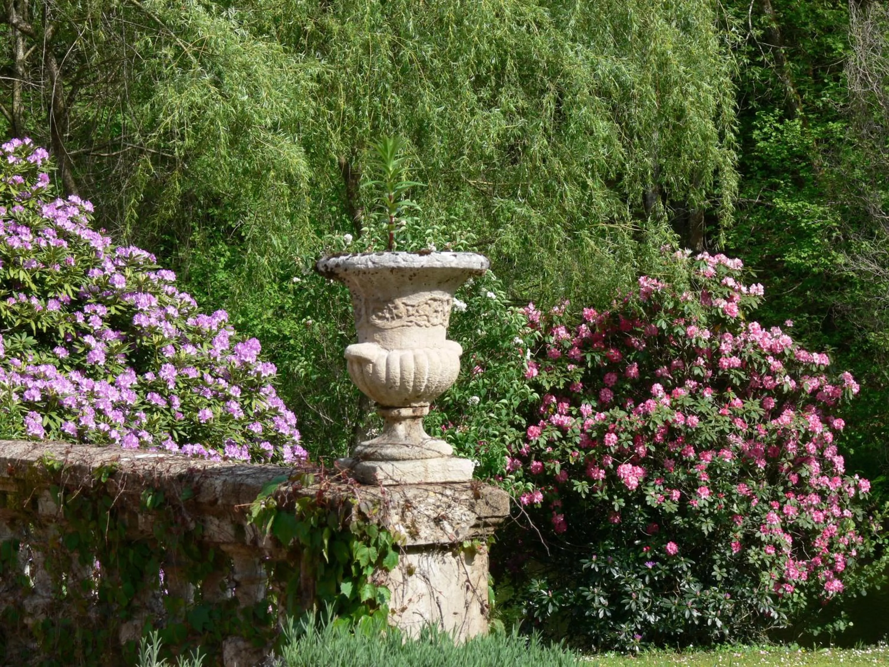 Garden in Domaine de La Brugere