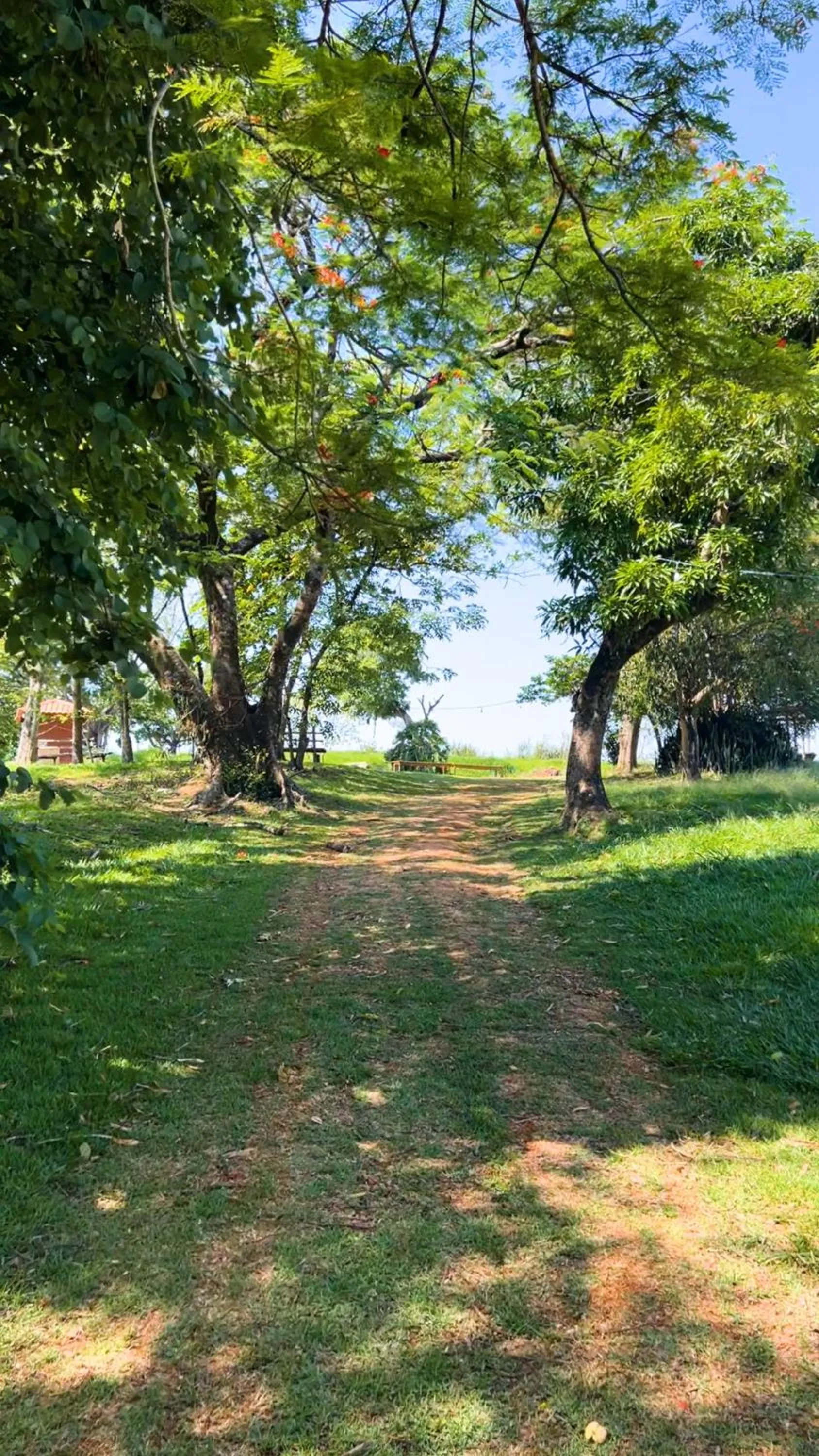 Day in Hotel Fazenda Ararita
