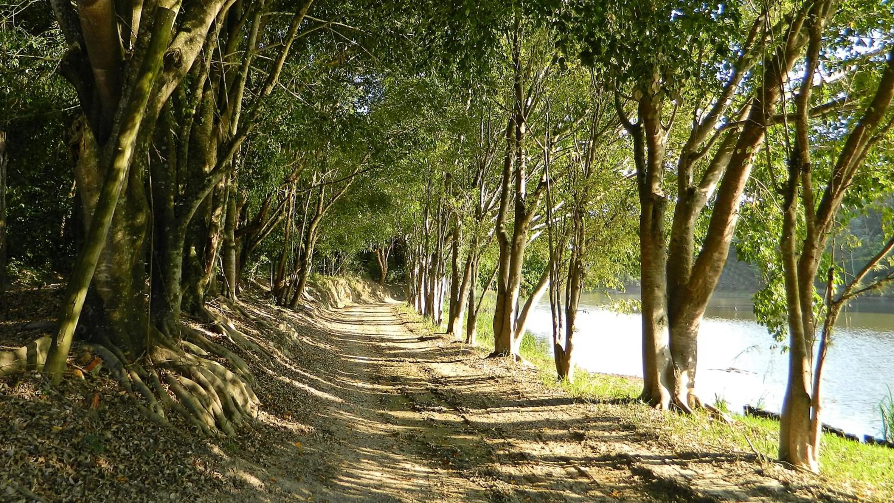 Natural landscape in Hotel Fazenda Ararita