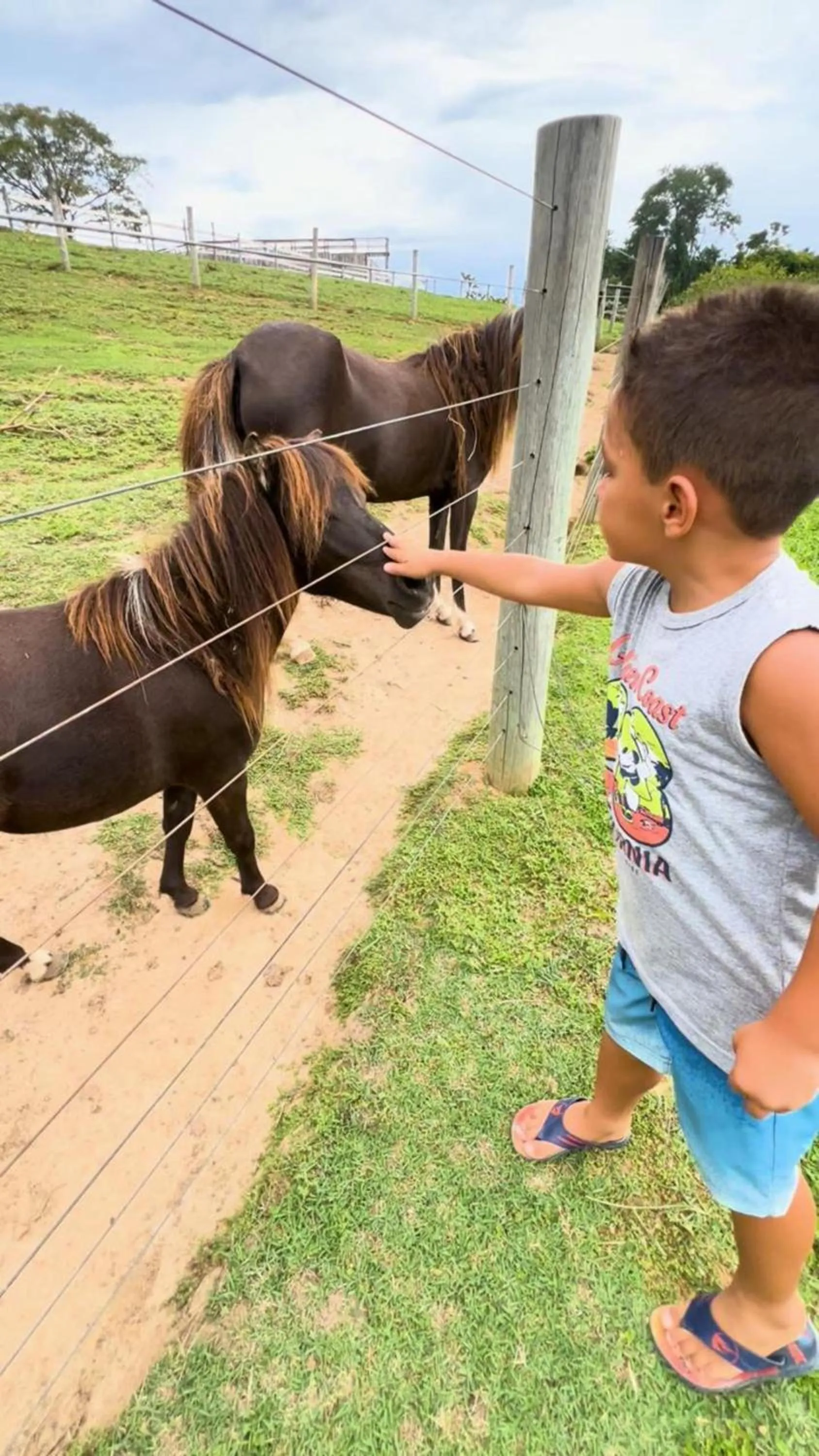 Day in Hotel Fazenda Ararita