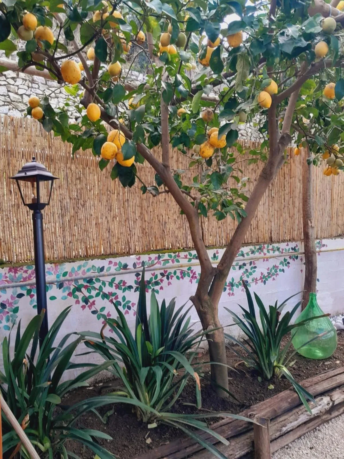 Spring in La Palombara B&B