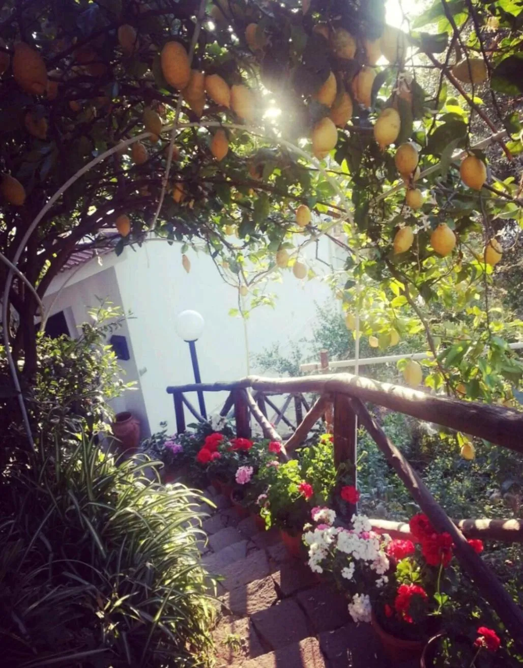 Garden in La Palombara B&B