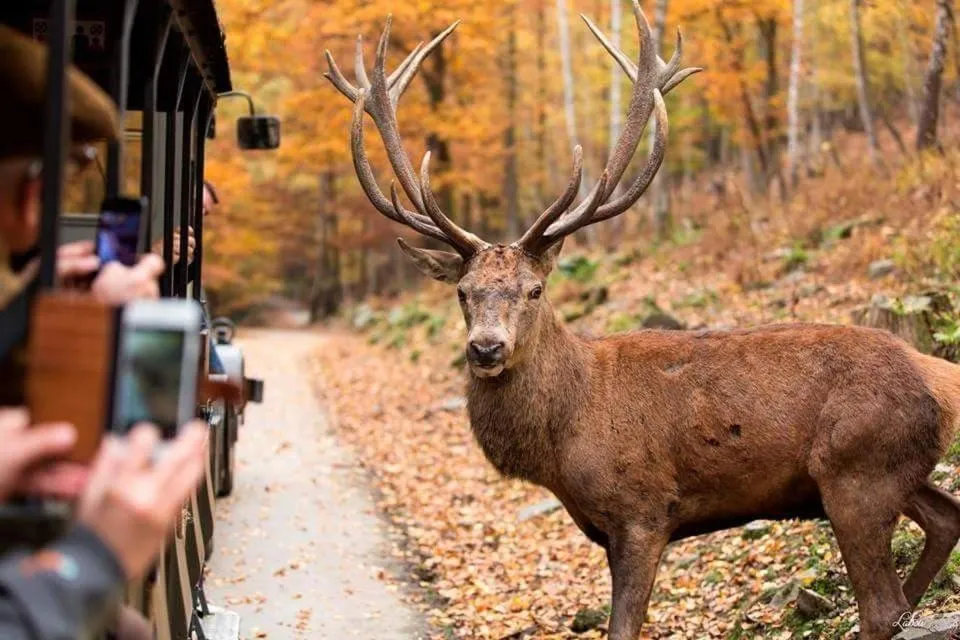 Au sommet de la cascade