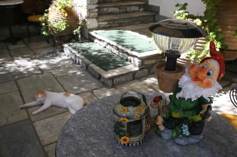 Balcony/Terrace in Hotel Mato