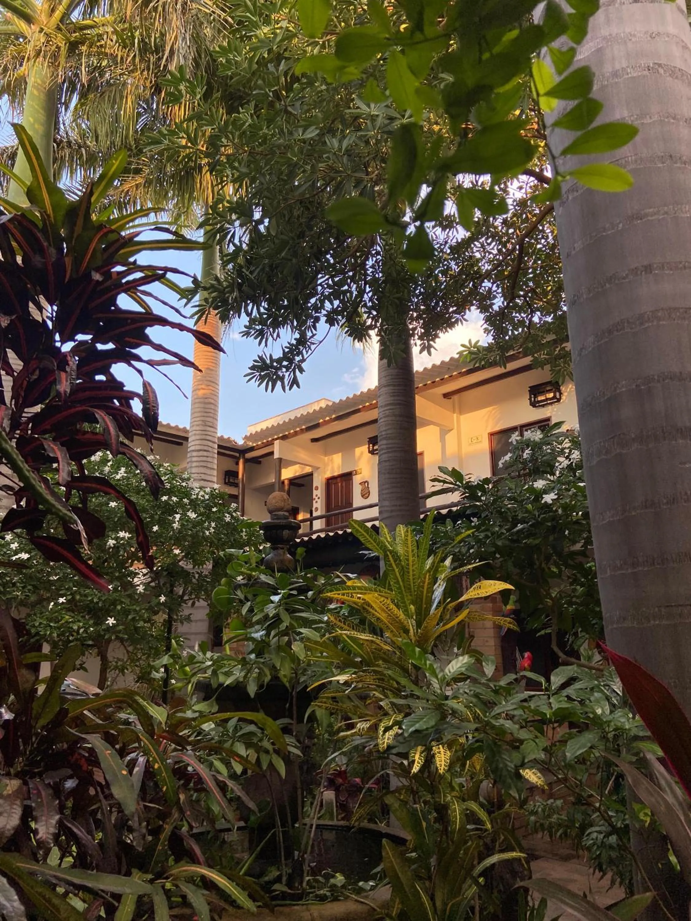 Garden in Camali Hotel