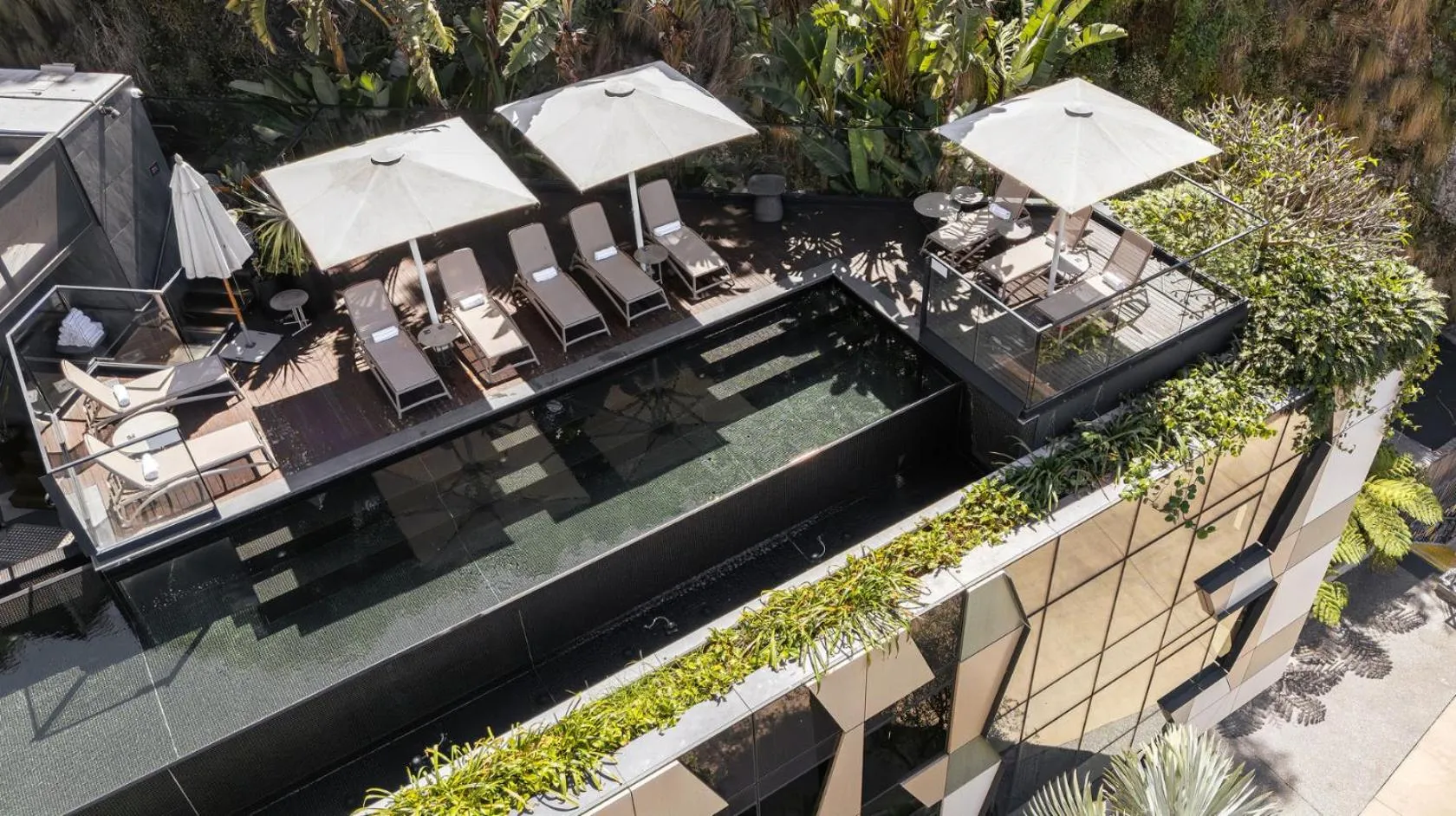 Swimming pool in Crystalbrook Vincent