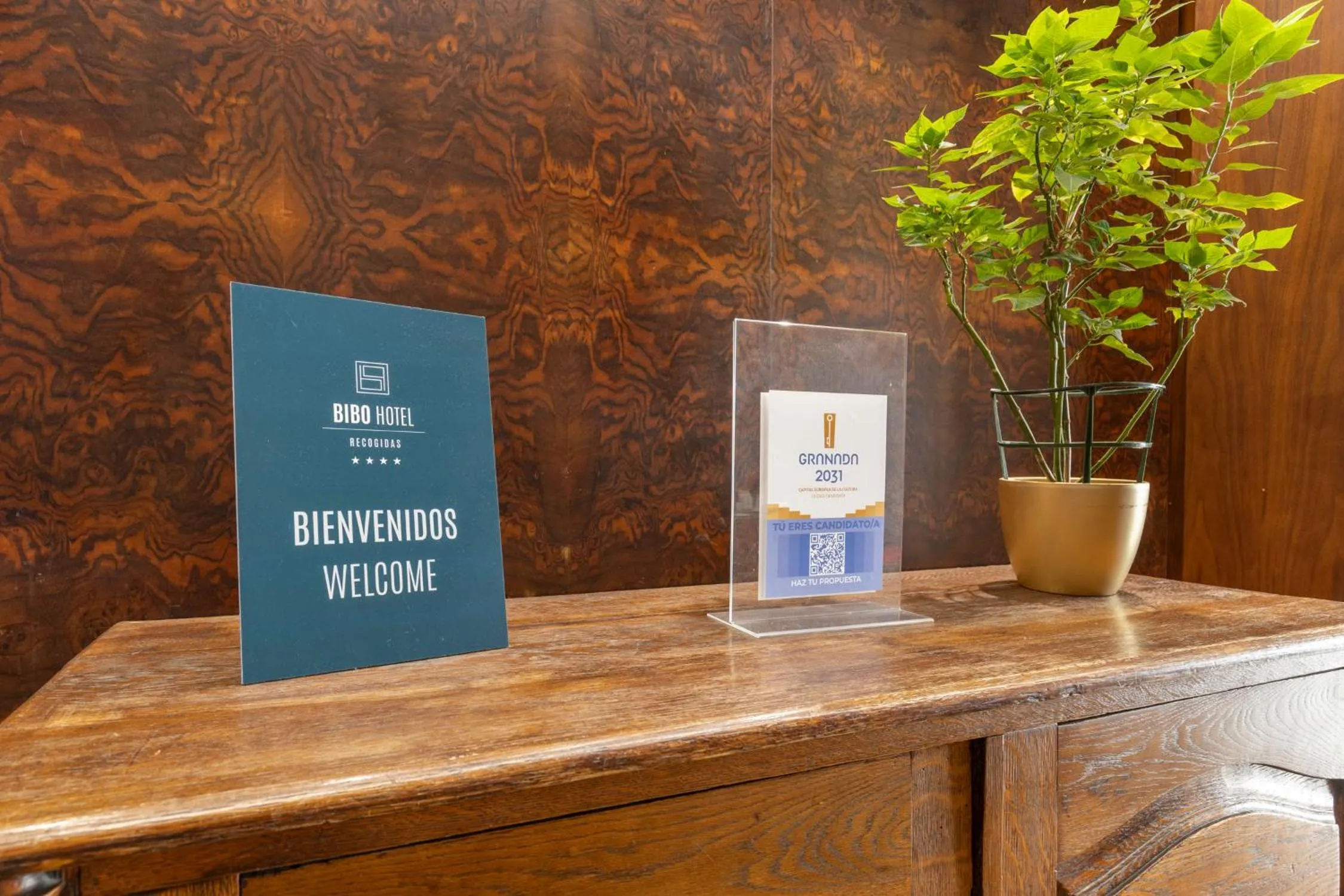 BIBO Hotel Recogidas