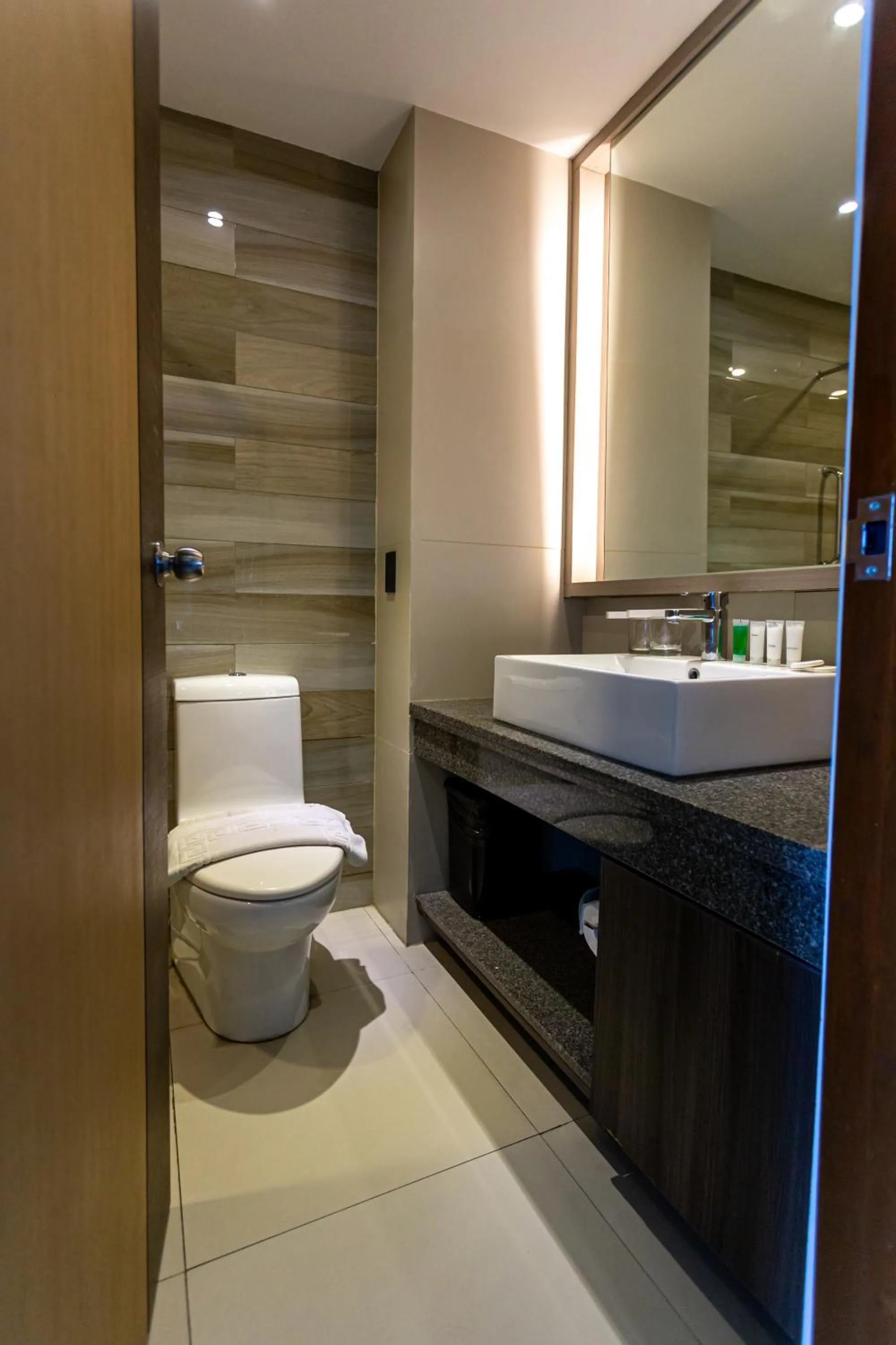 Toilet in Santorini Hotel