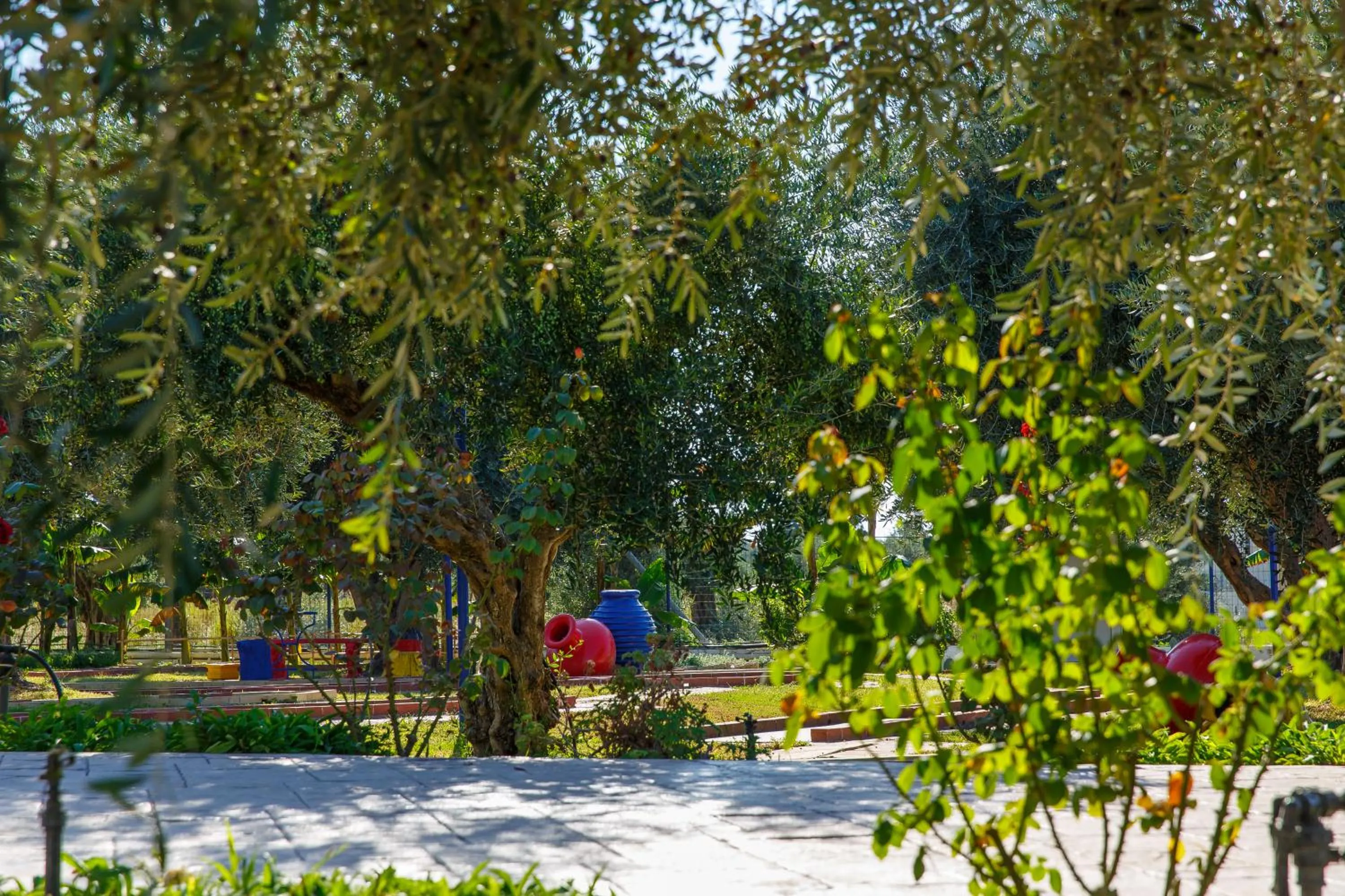 Garden in Filoxenia Apartments & Studios