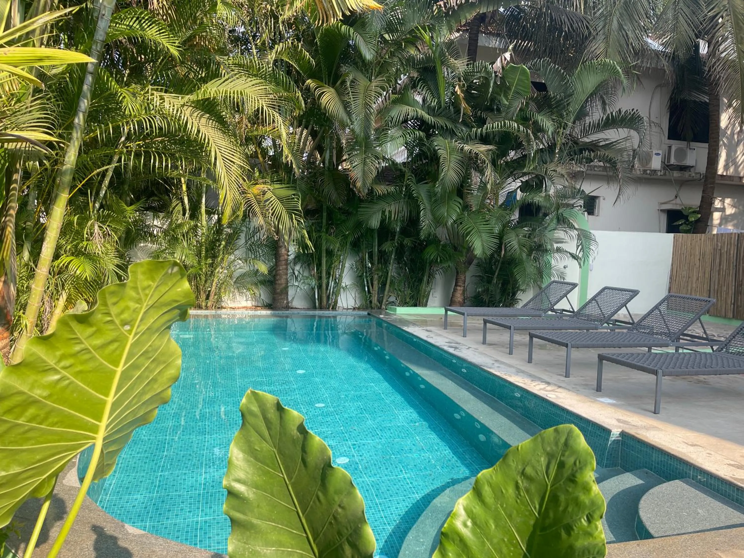 Swimming pool in Tridiva Morjim 150 Meters to Morjim Beach