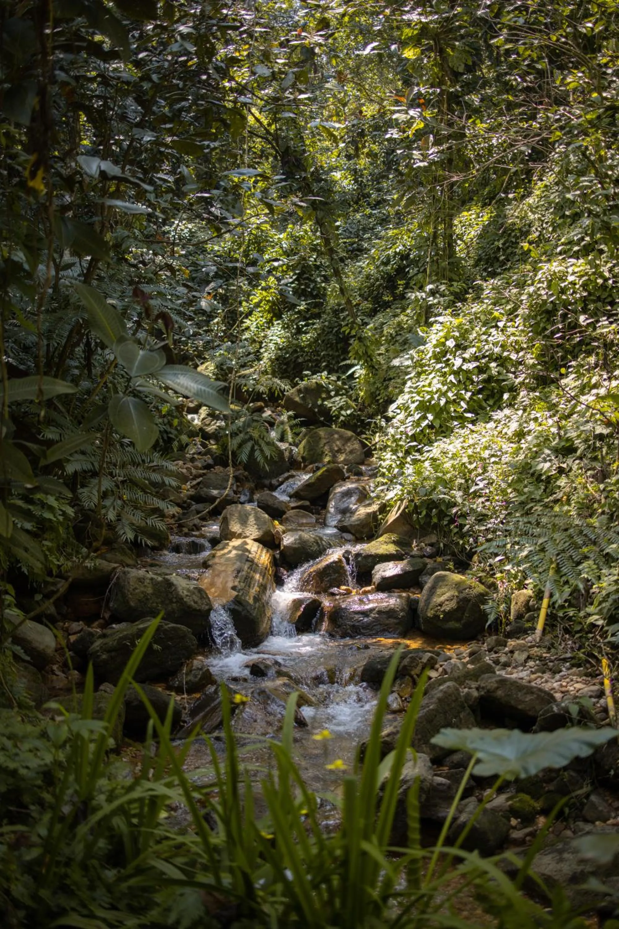 Arsulana Eco Lodge & Spa