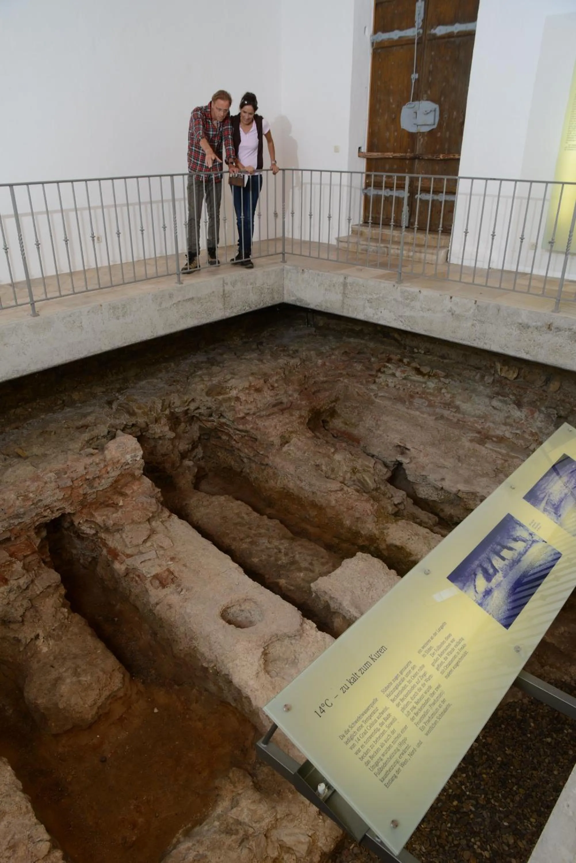 Area and facilities in Apparthotel Minerva Diana Octavia