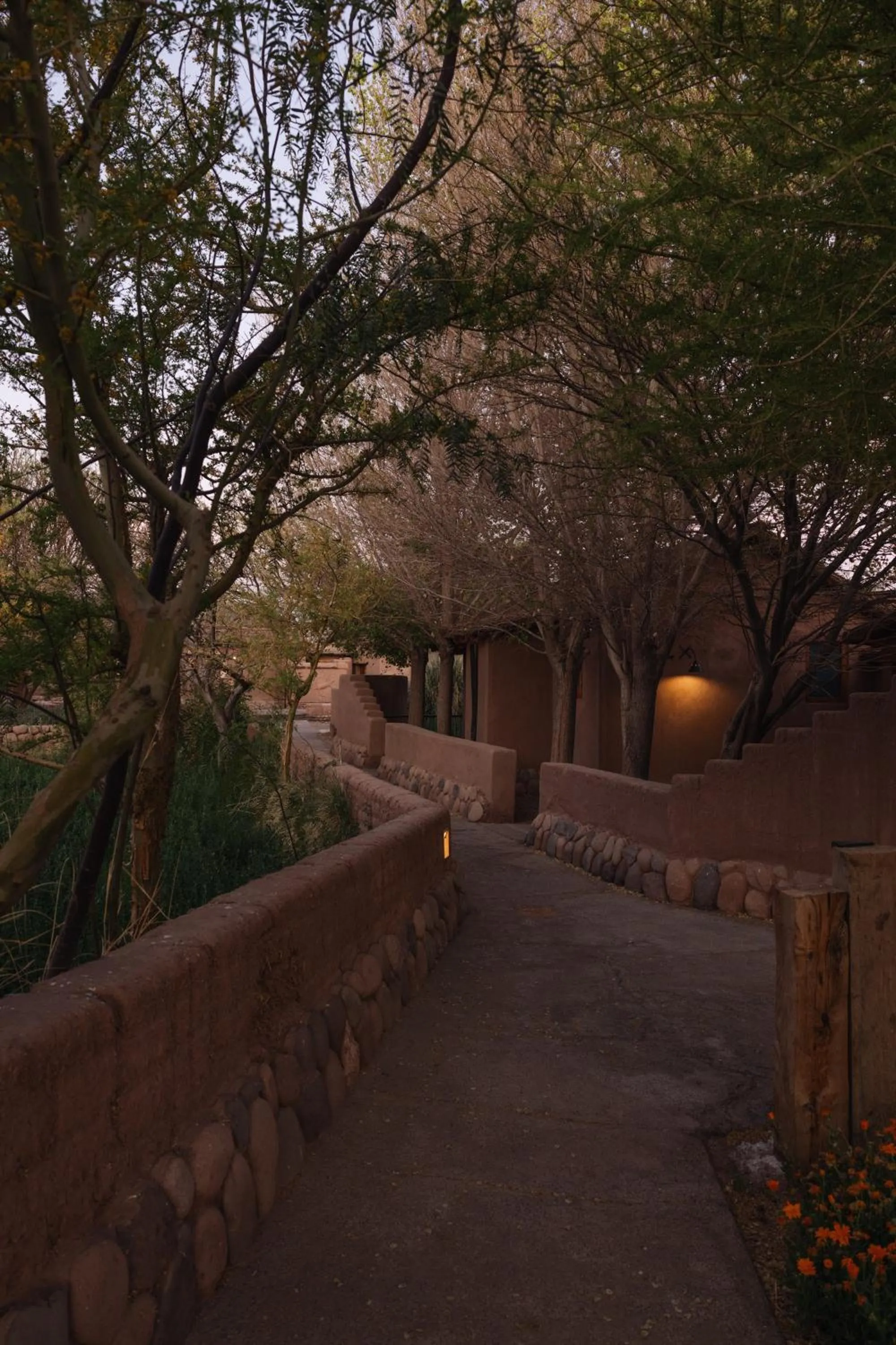 Property building in Our Habitas Atacama