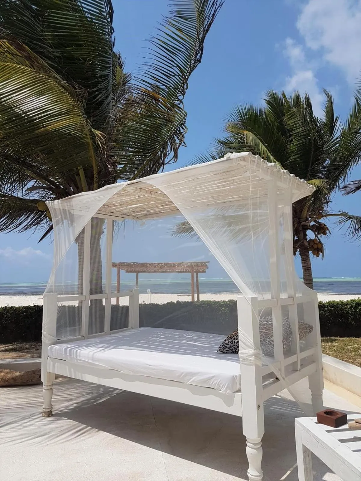 Beach in Life Resort St. Thomas Royal Palm