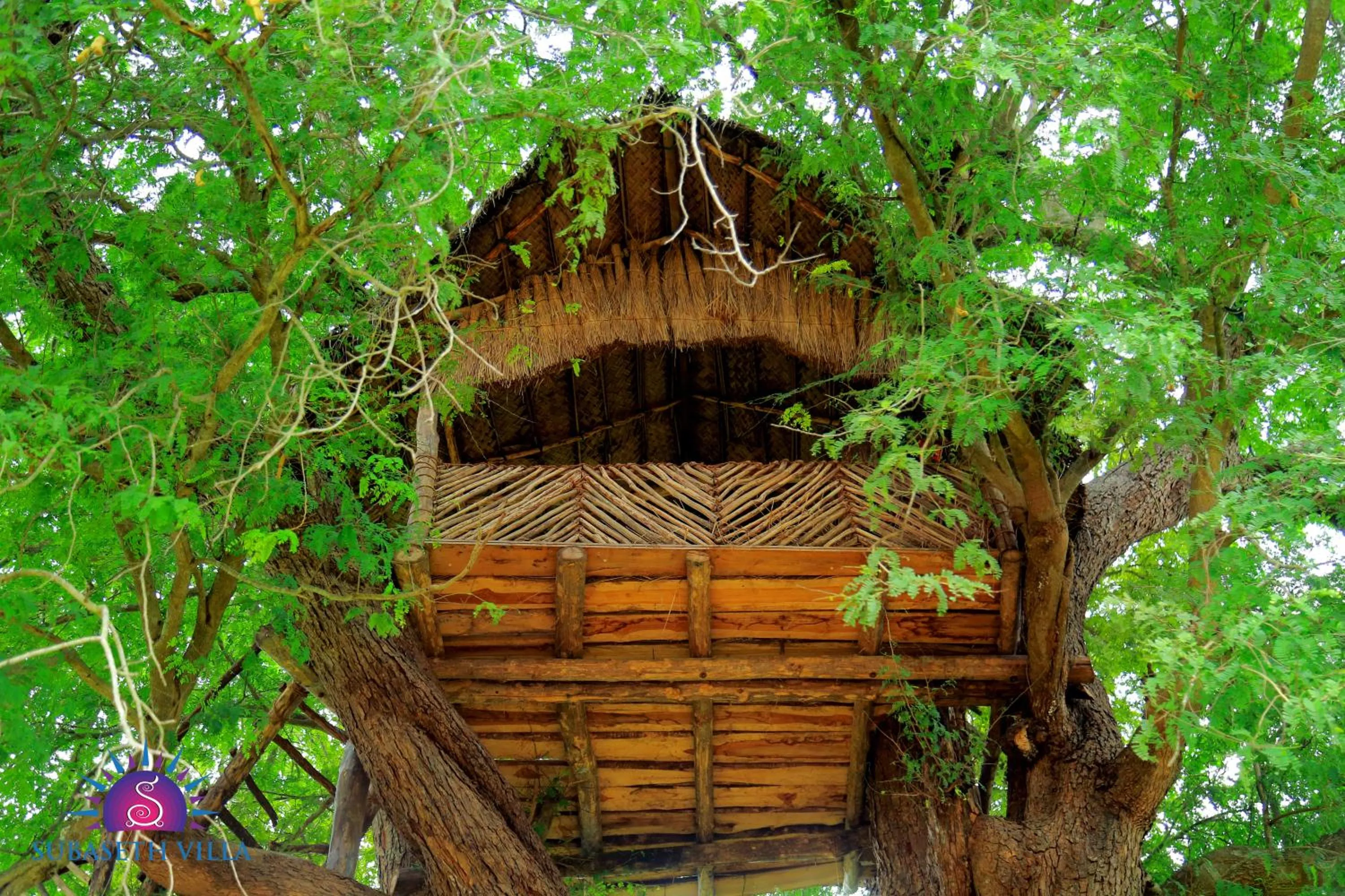Garden in Subaseth Villa