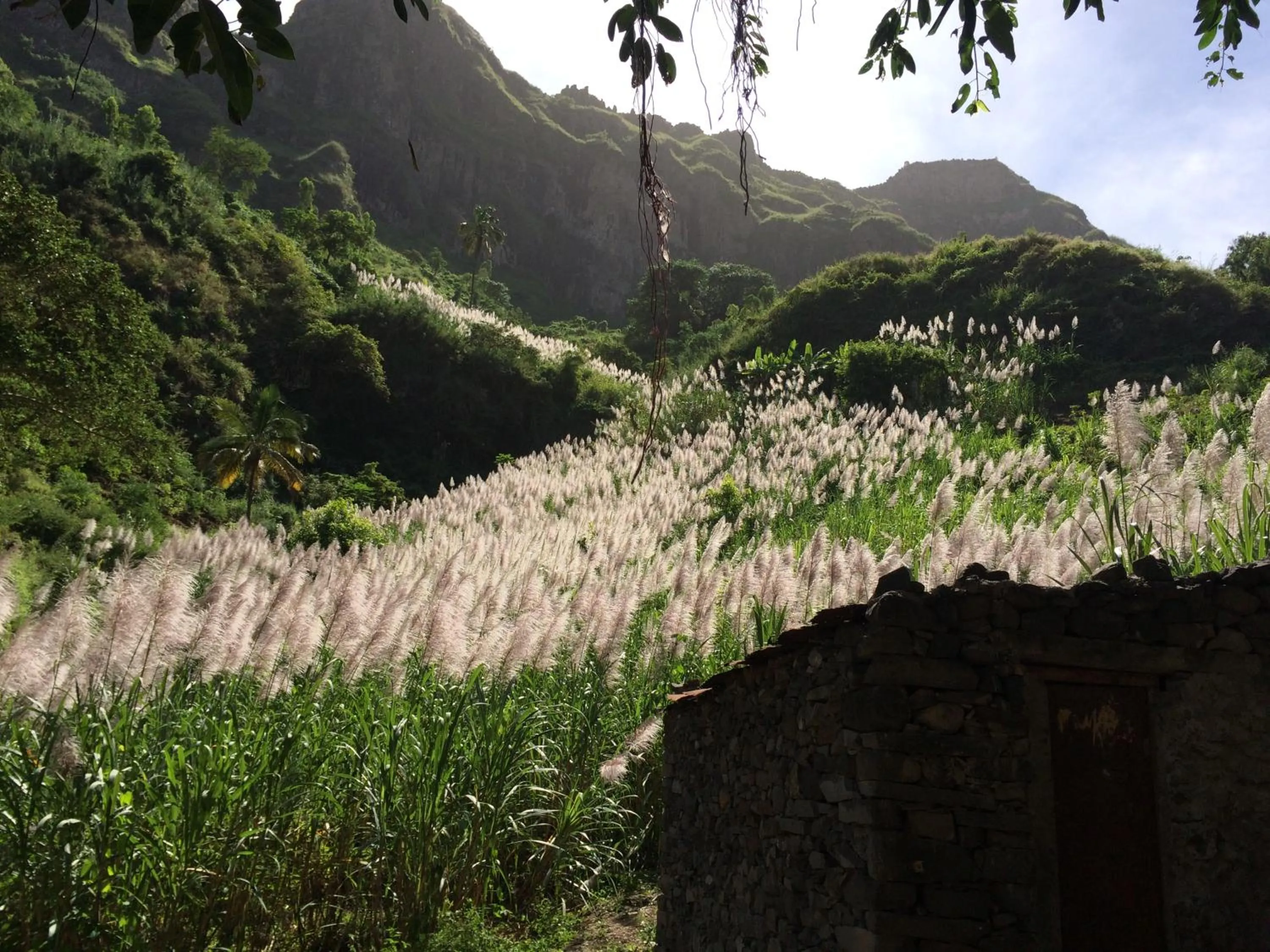 Activities in Aparthotel Praiano