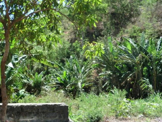 Area and facilities in Aparthotel Praiano