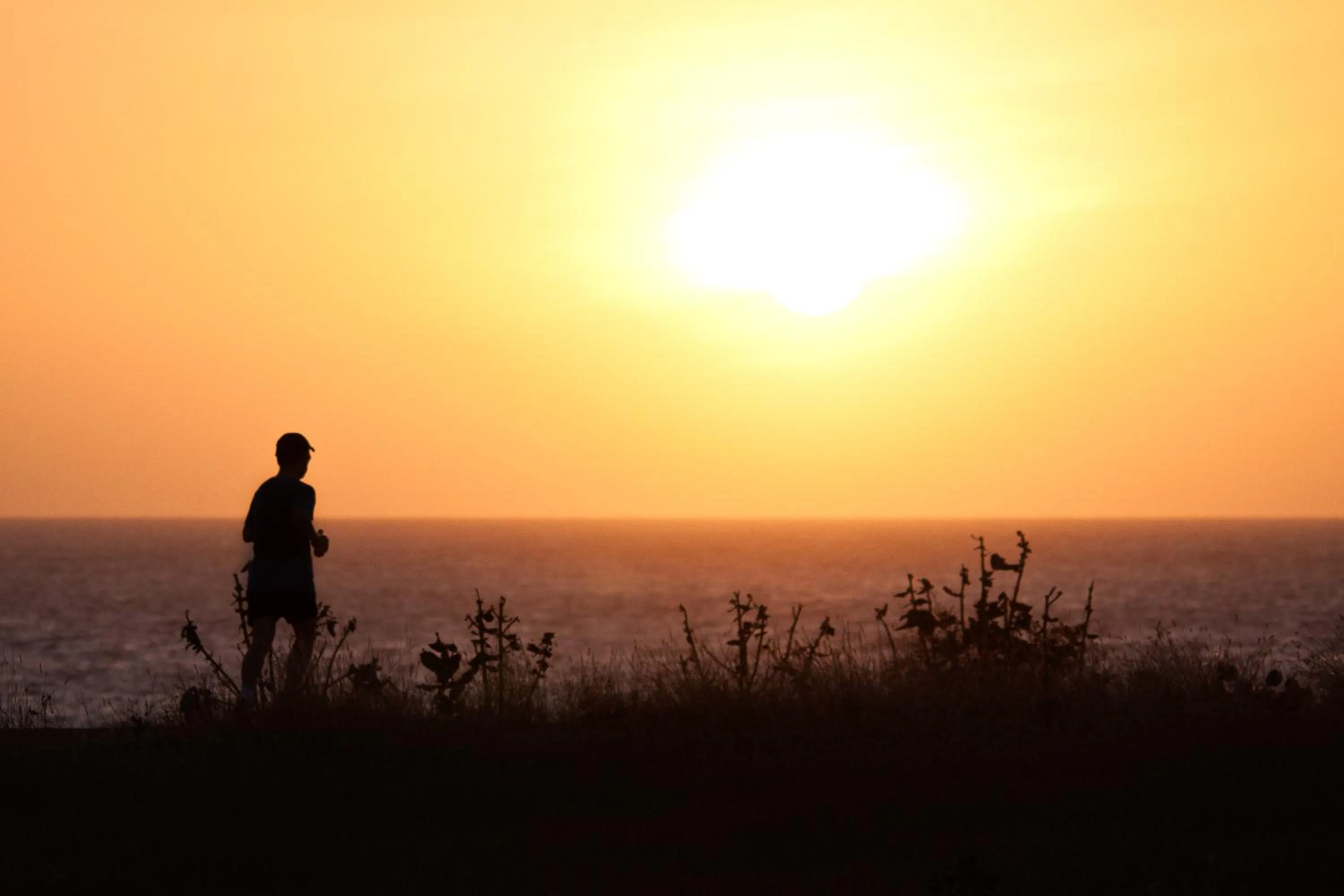 Area and facilities in Aparthotel Praiano