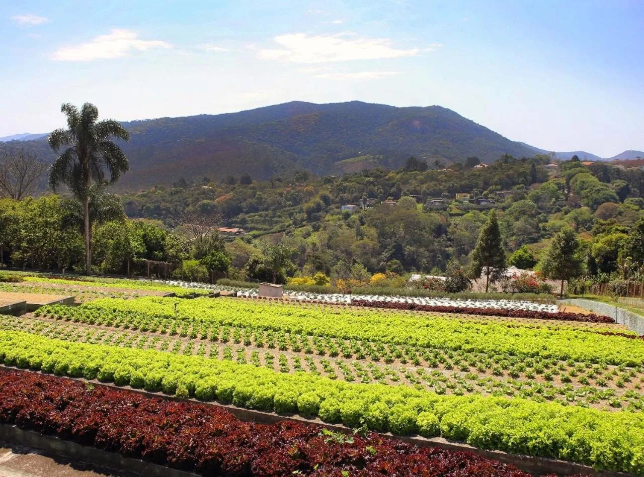 Day in Unique Garden