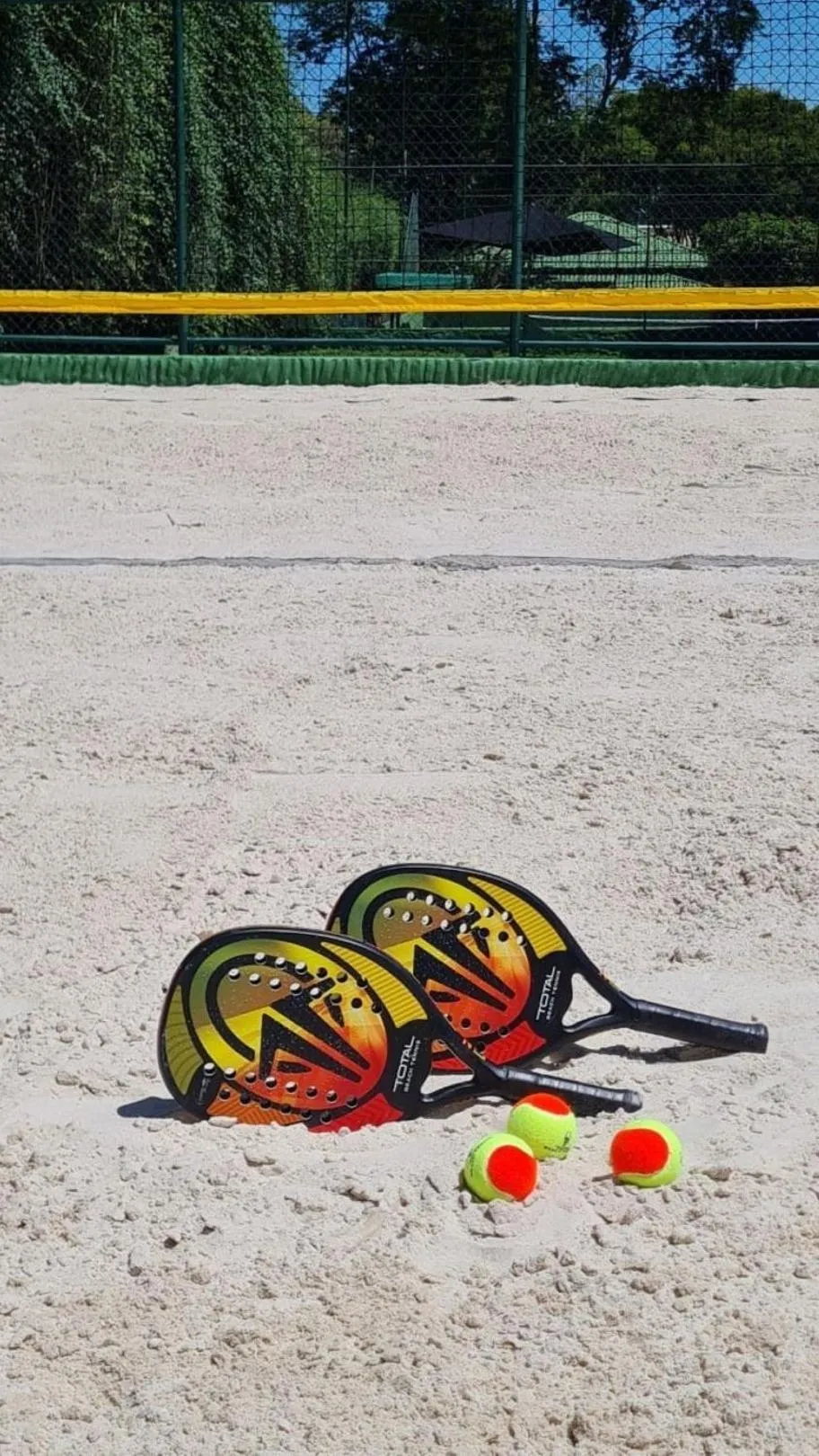 Day in Unique Garden